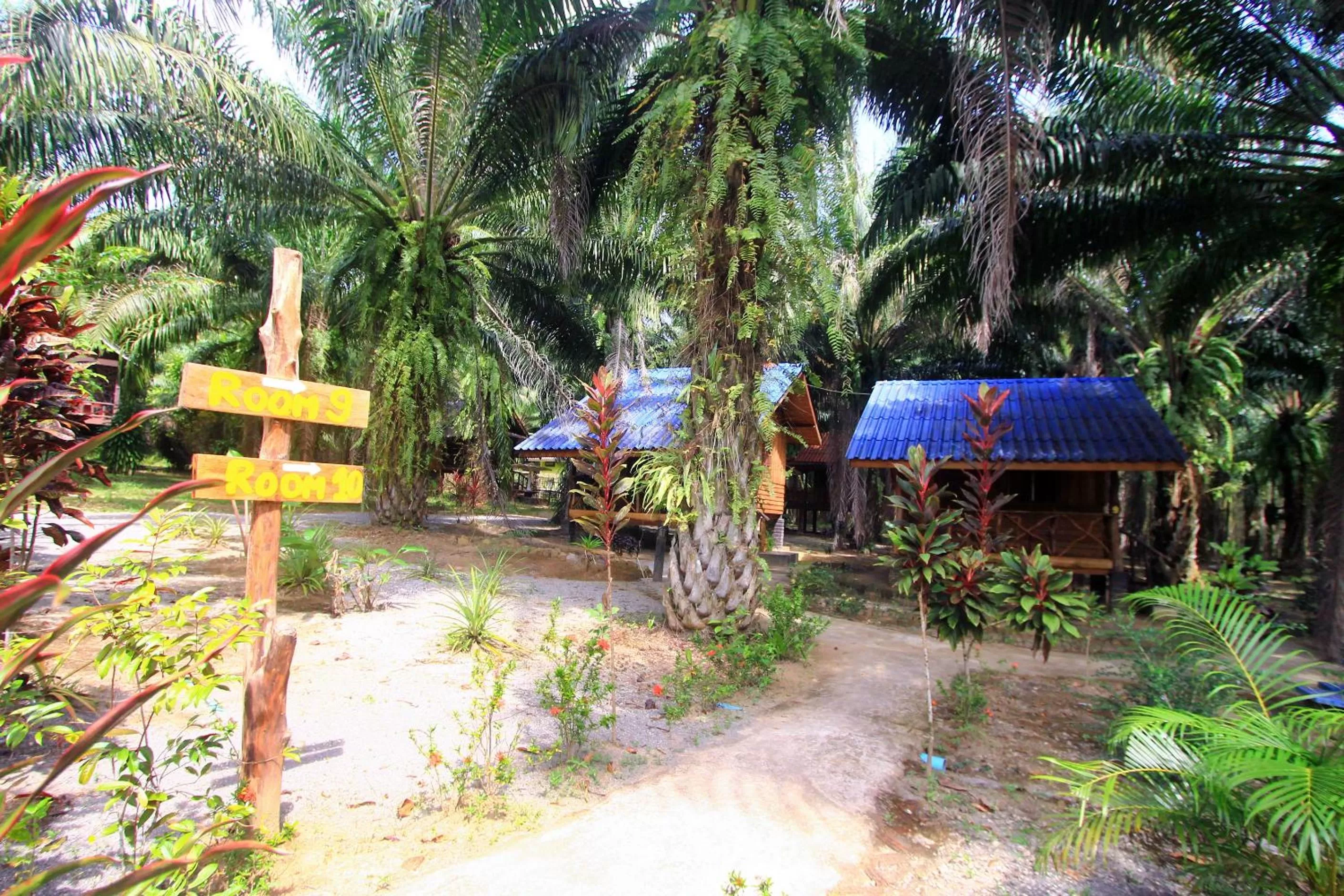 Khao Sok Palmview Resort