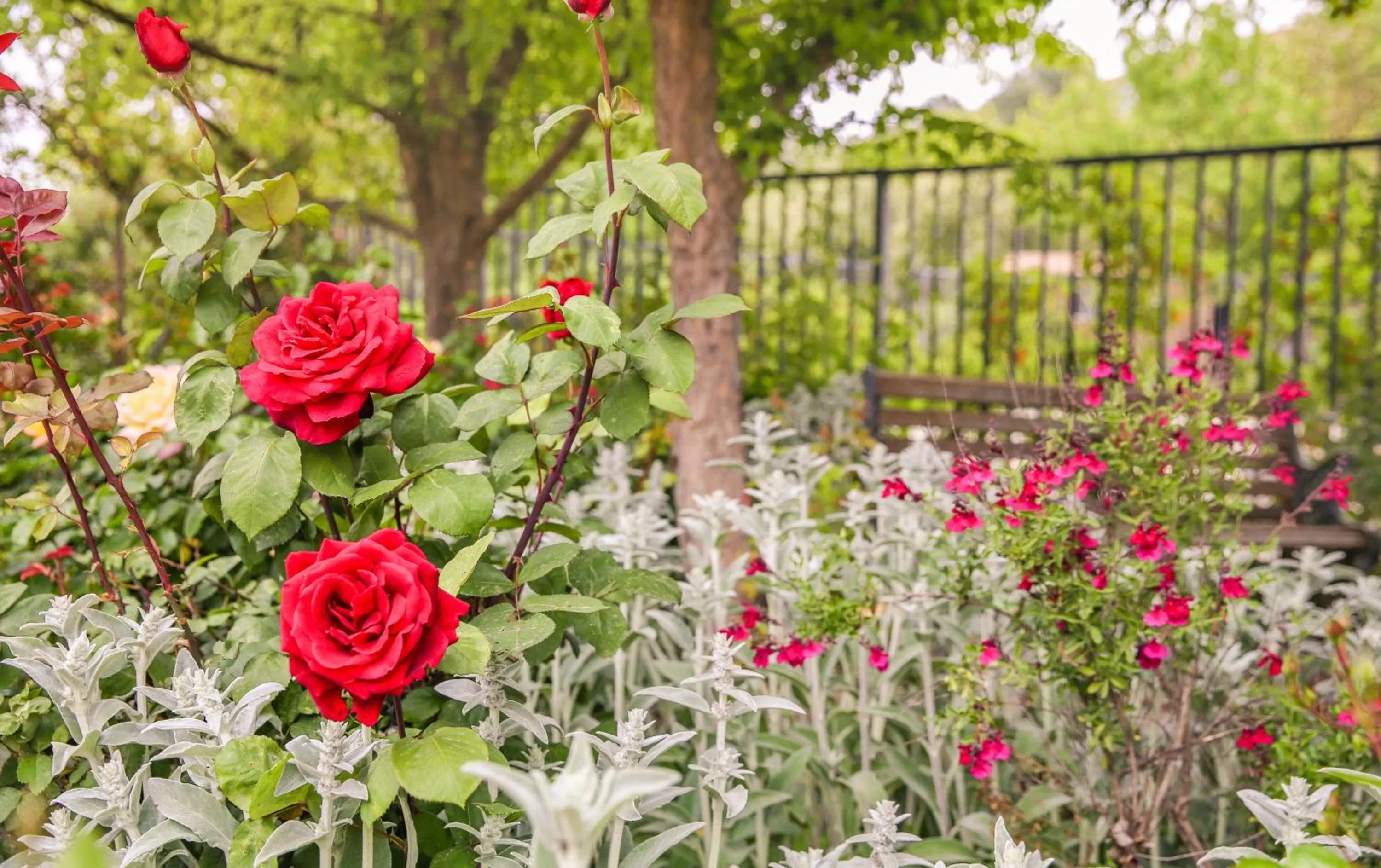 Garden in The Eden House Vineyard