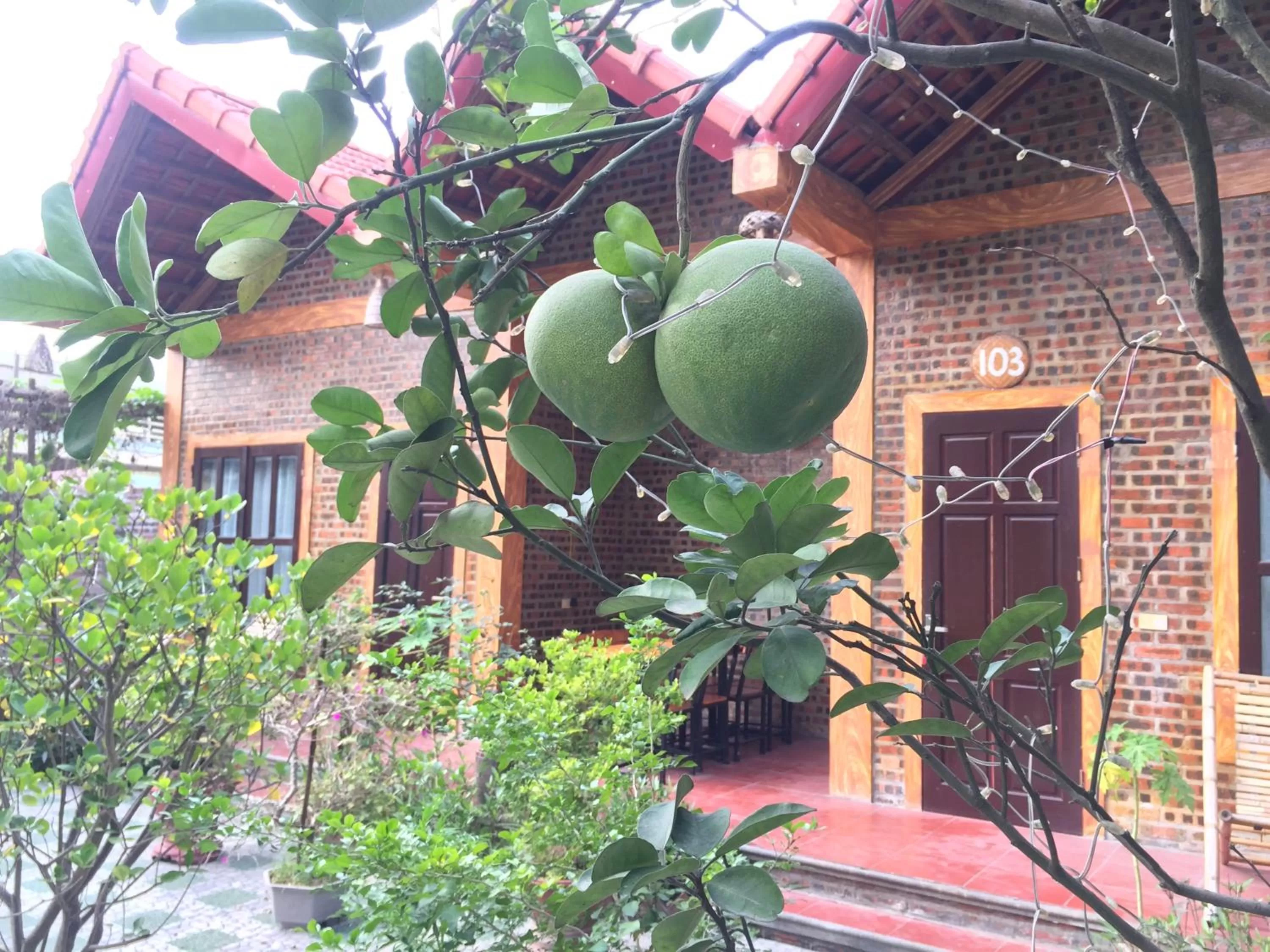Property building in Tam Coc Vinh Thinh Homestay