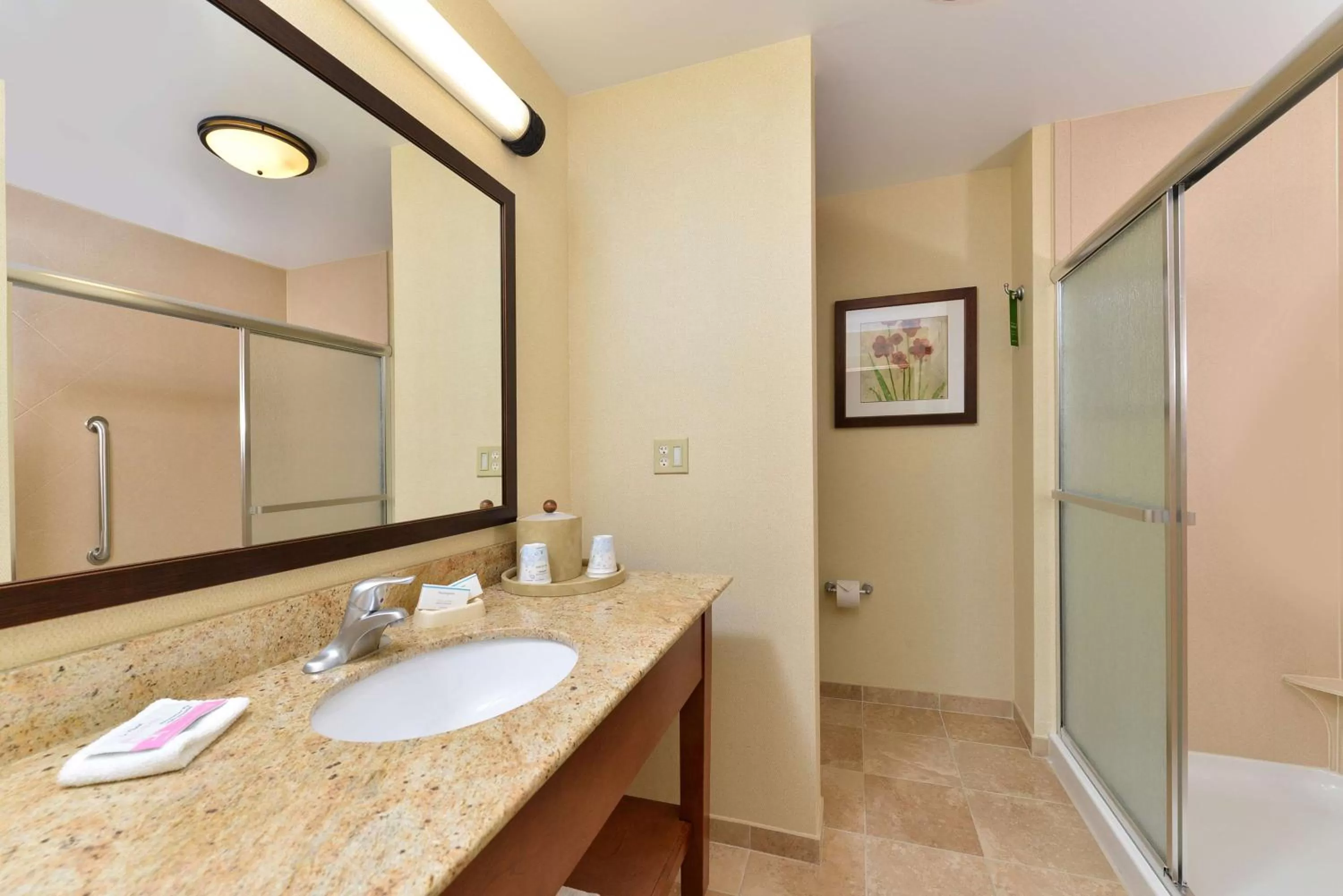 Bathroom in Hampton Inn Ottumwa
