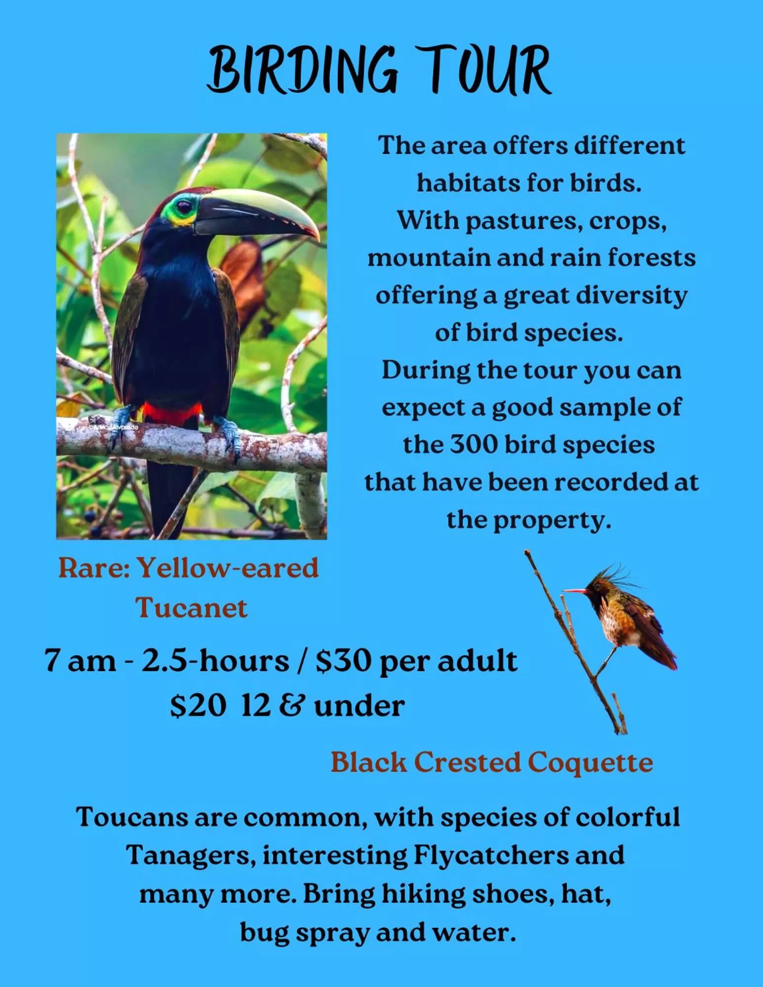 The Lodge at Reventazon River Mountain Ranch