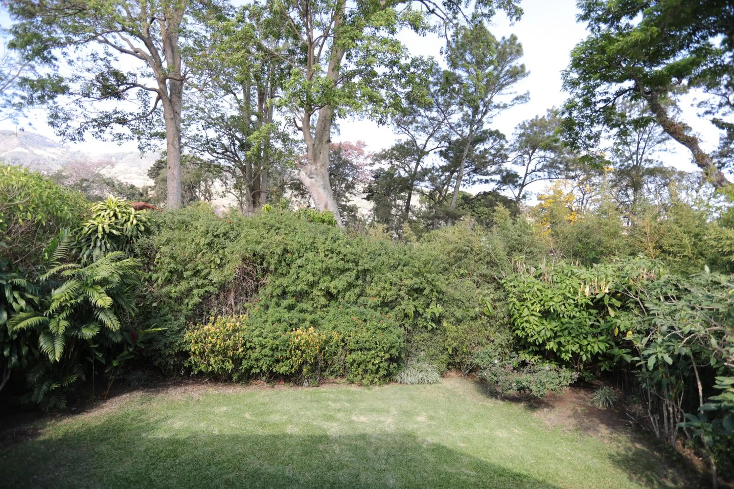 Garden view, Garden in Tierra Magica B&B and Art Studio