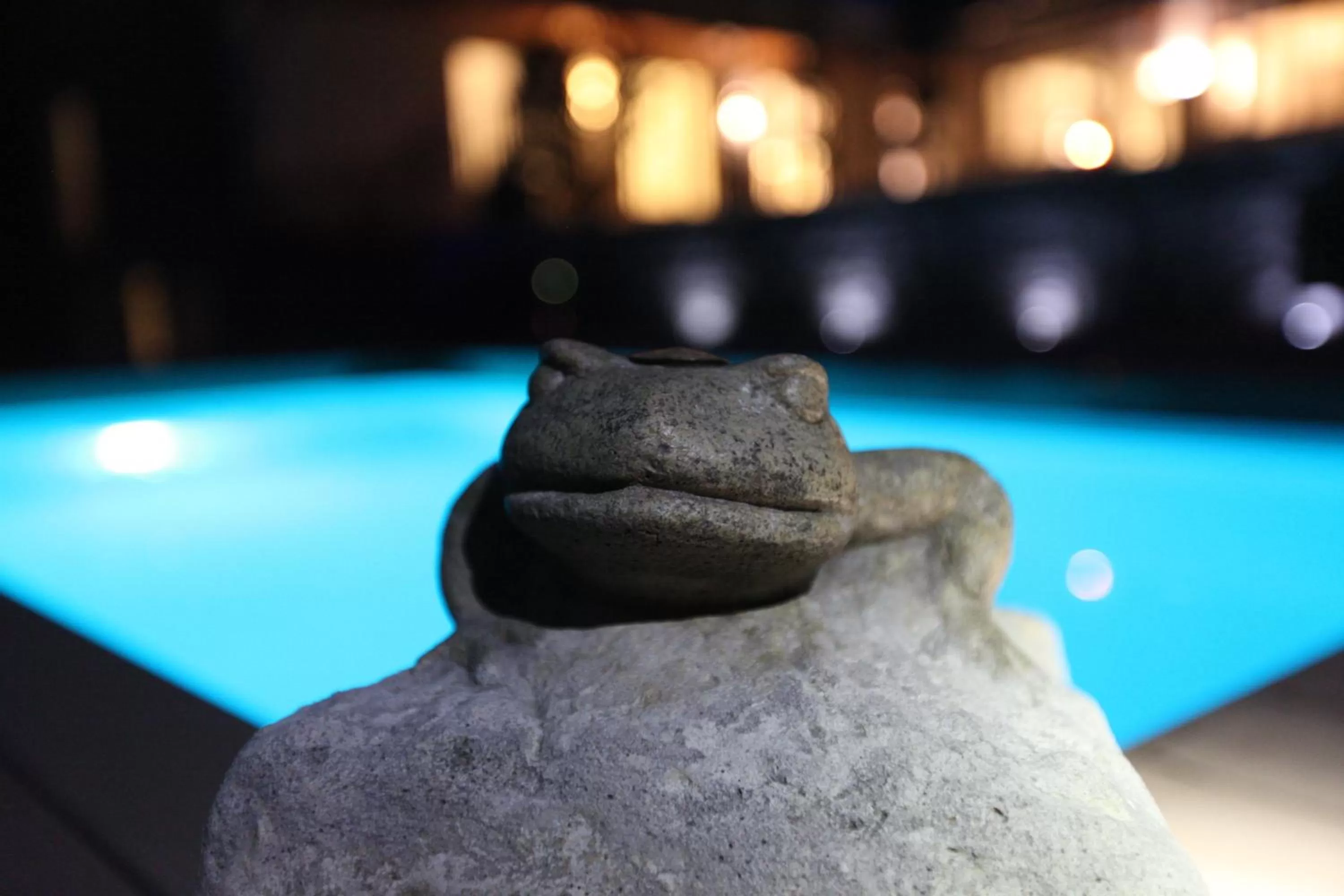 Swimming pool in Boutique Hotel Villa Katharina