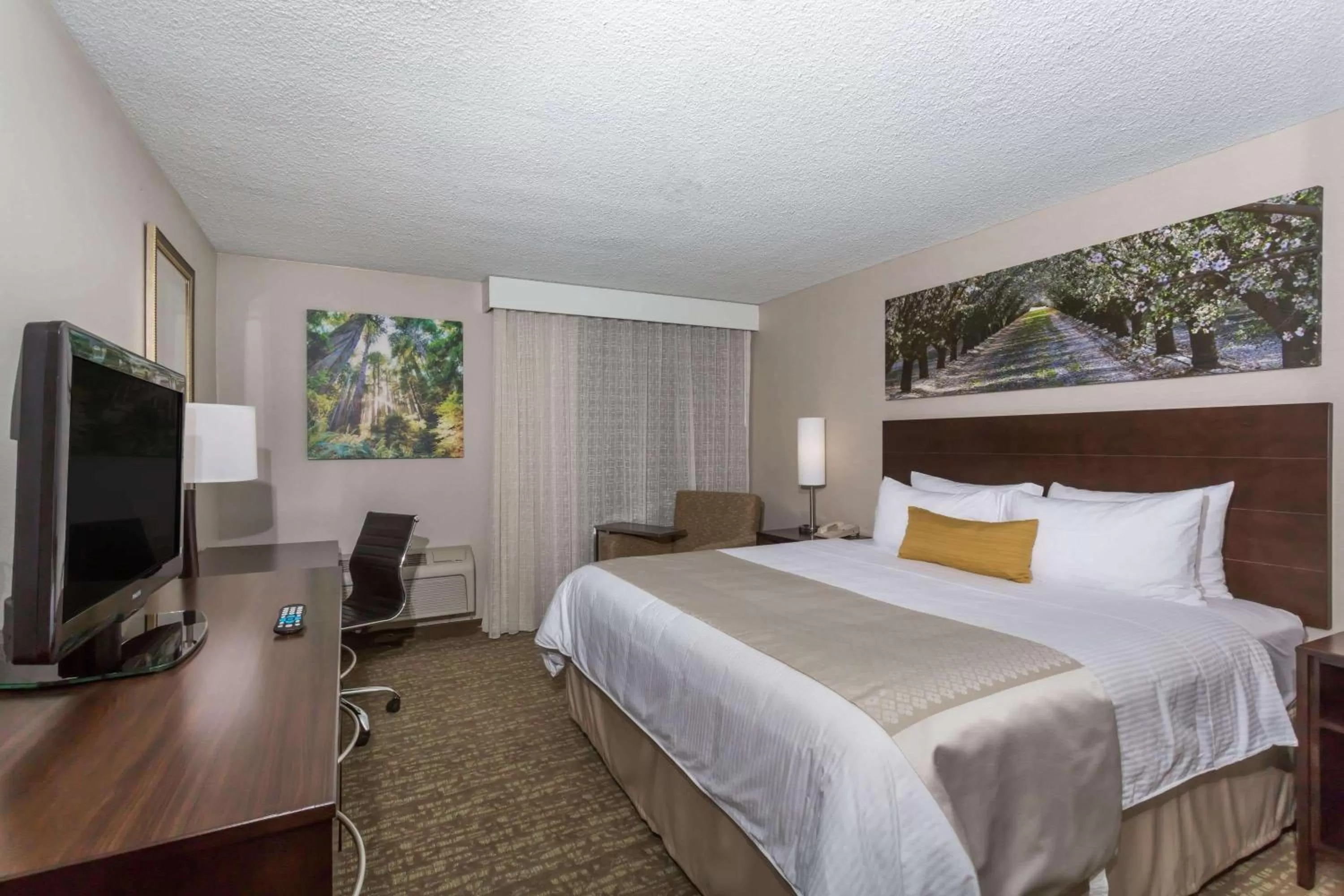 Photo of the whole room, Bed in Wyndham Garden Fresno Yosemite Airport