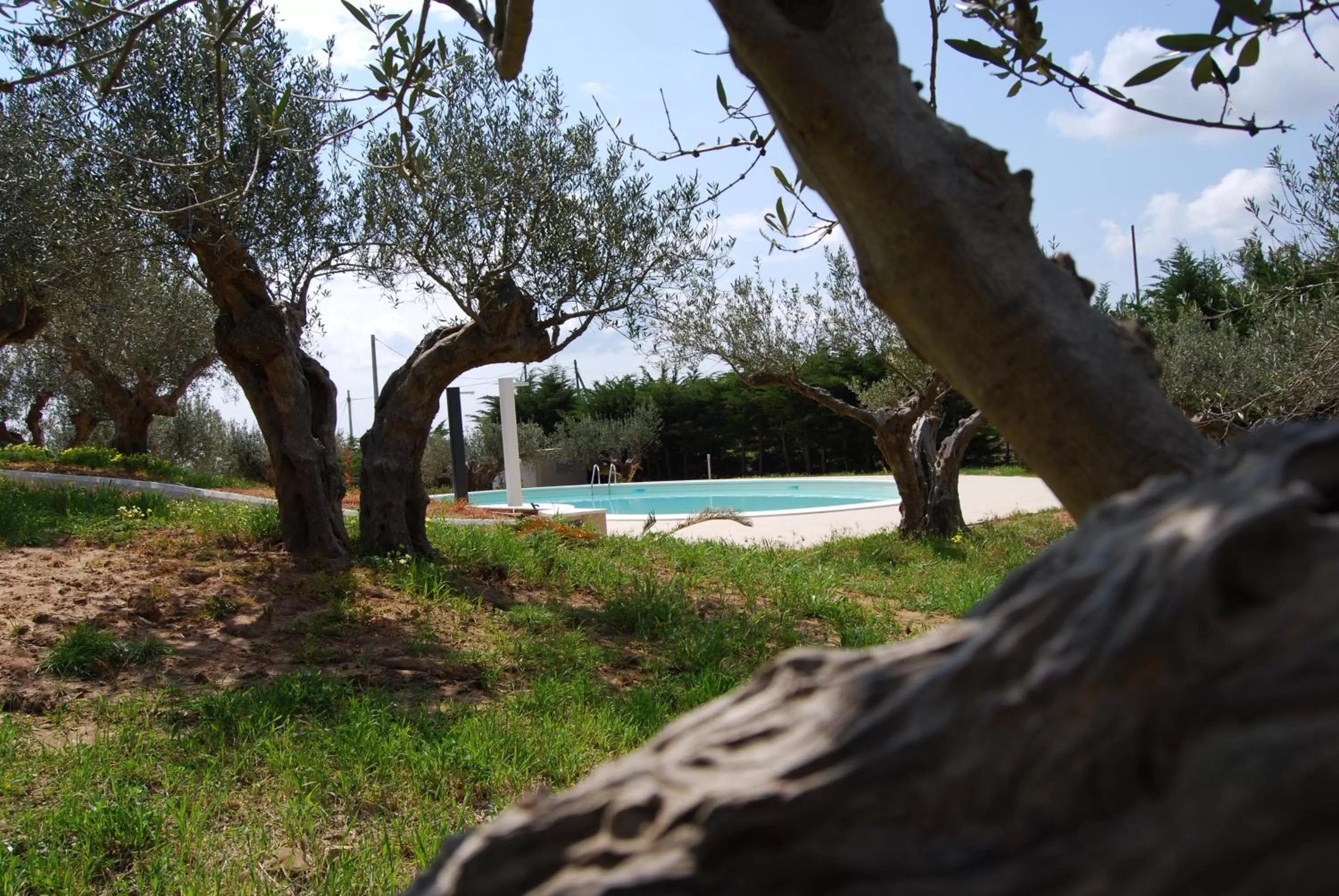 Garden, Swimming Pool in In Sicilia da Ciro