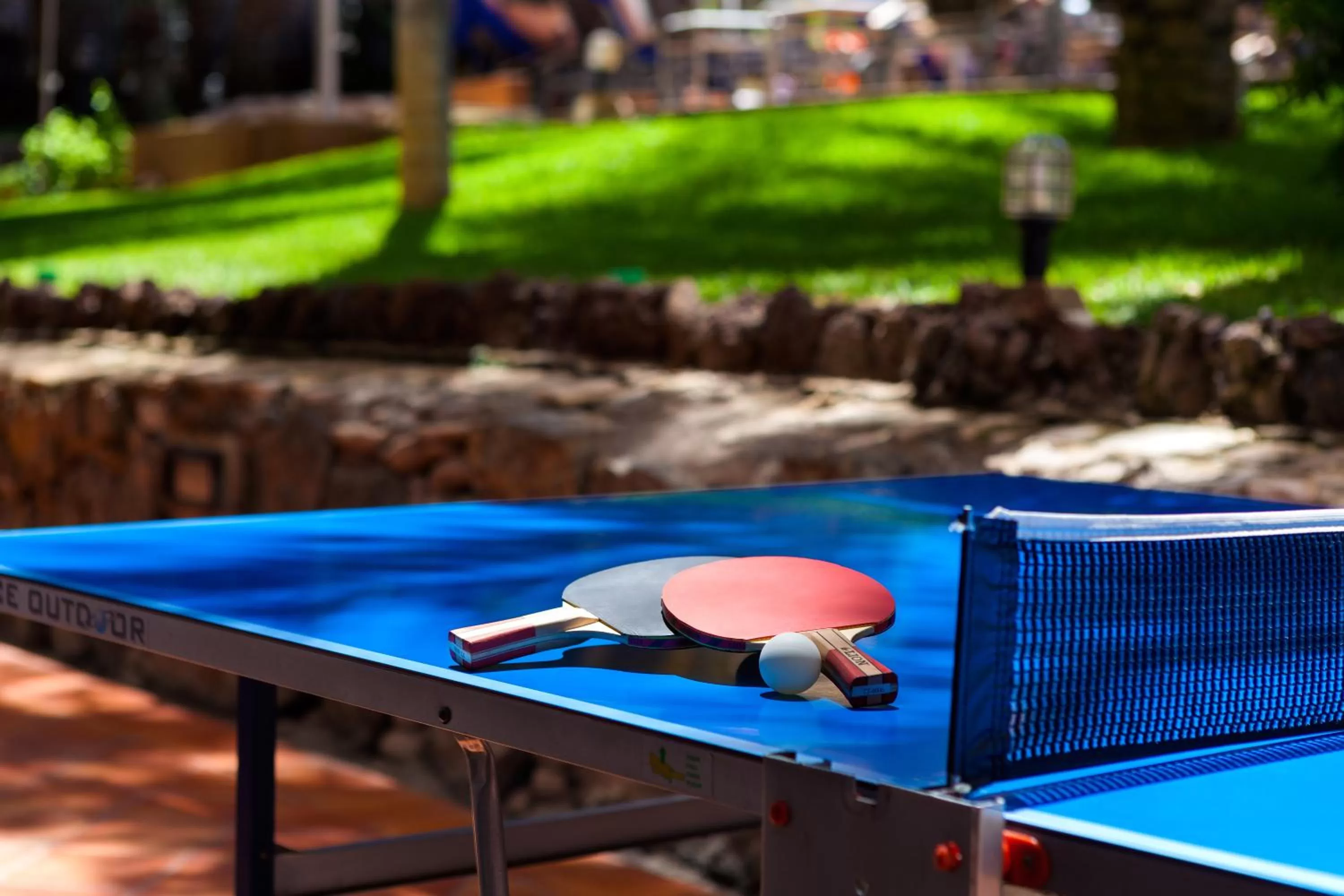Table tennis in Seaside Sandy Beach