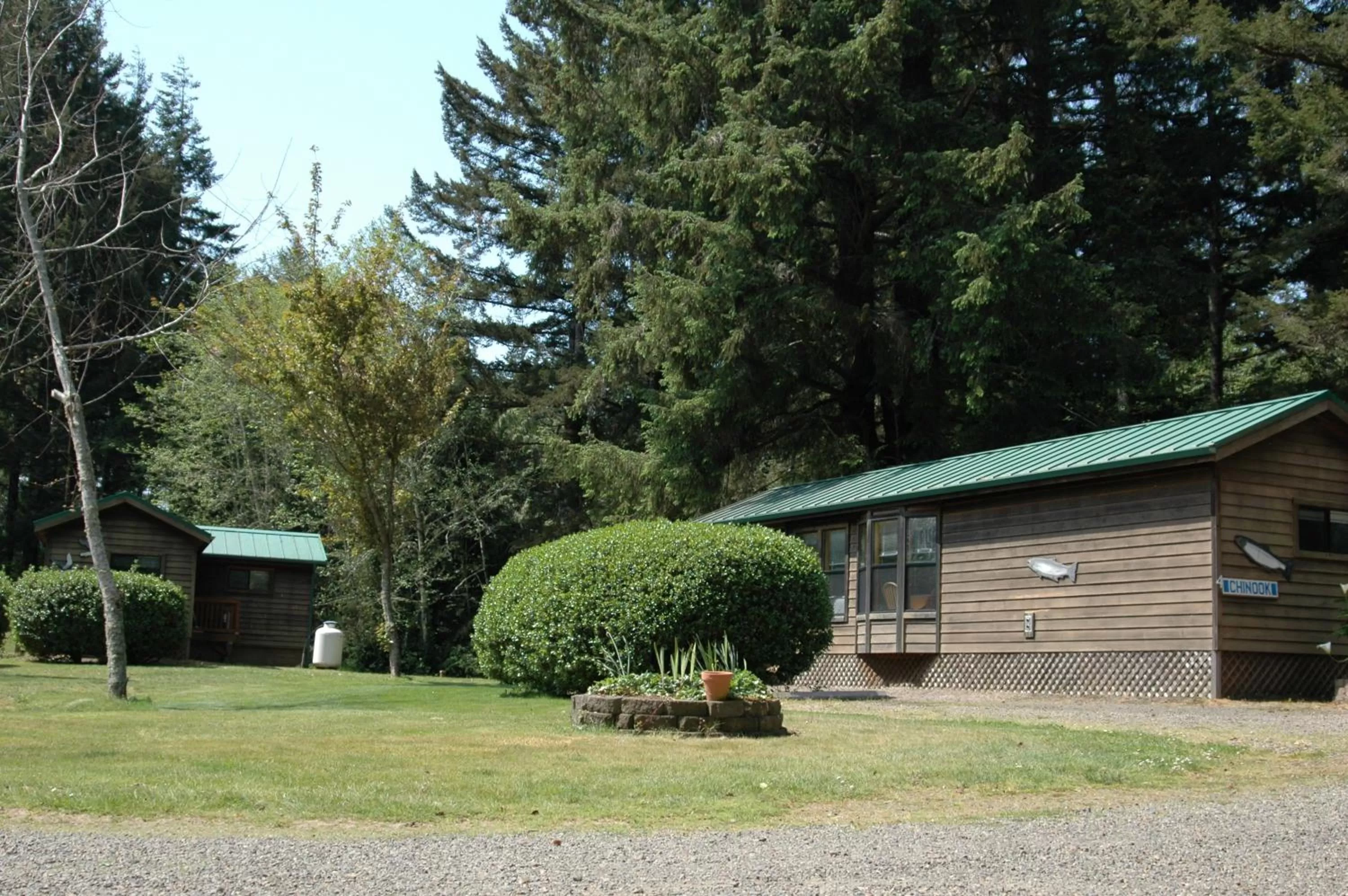 Park Motel and Cabins