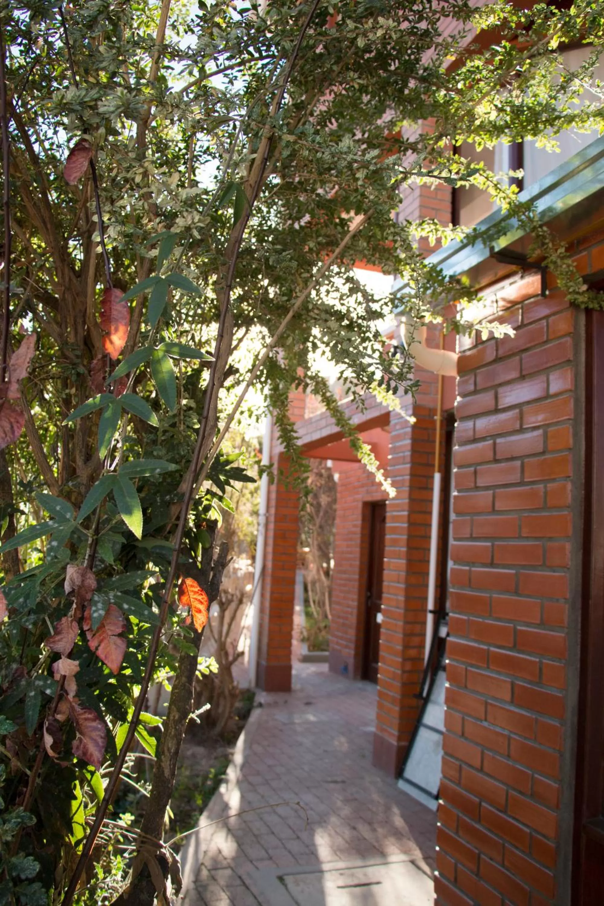 Patio in Qhini Hotel Boutique