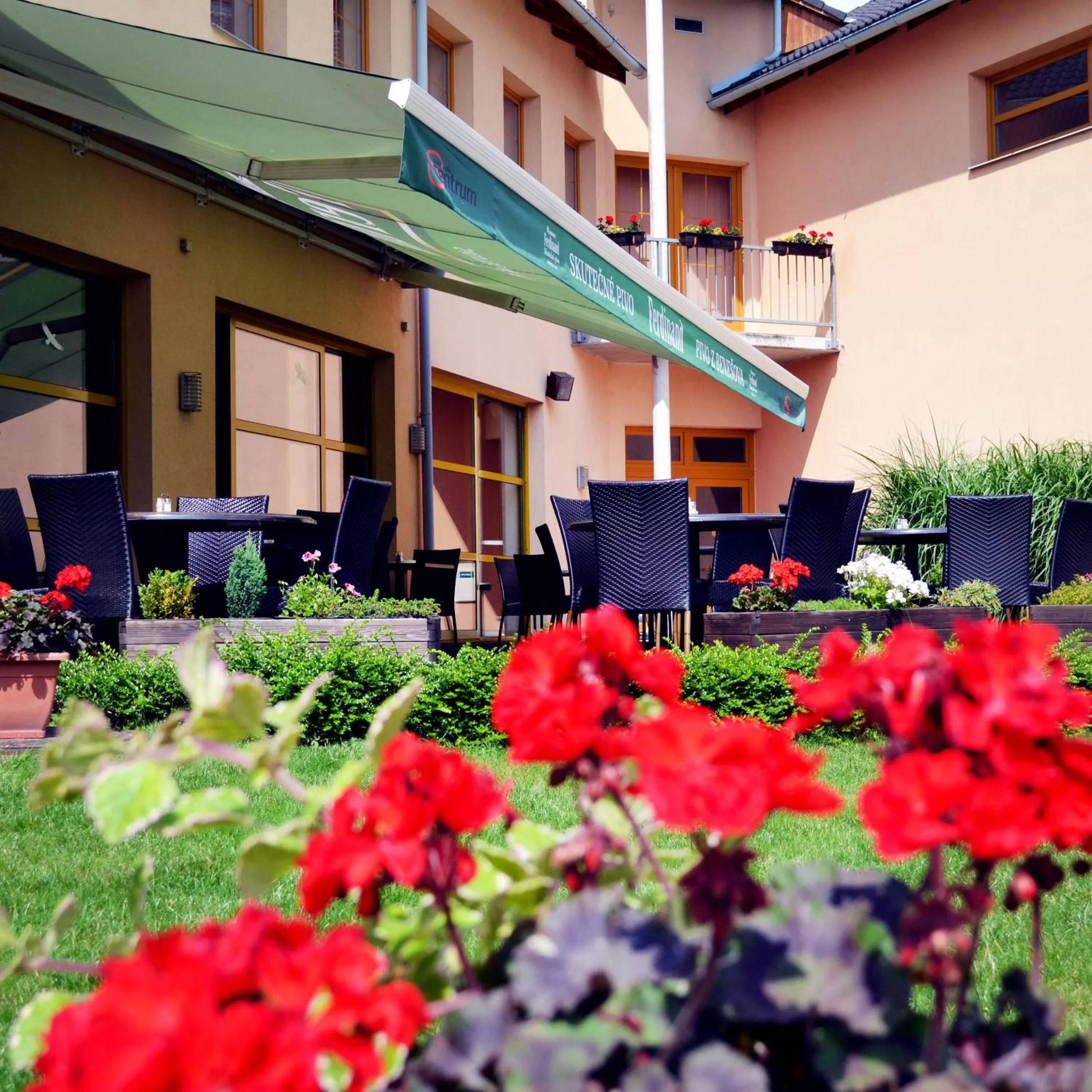 Restaurant/places to eat in Hotel S-centrum