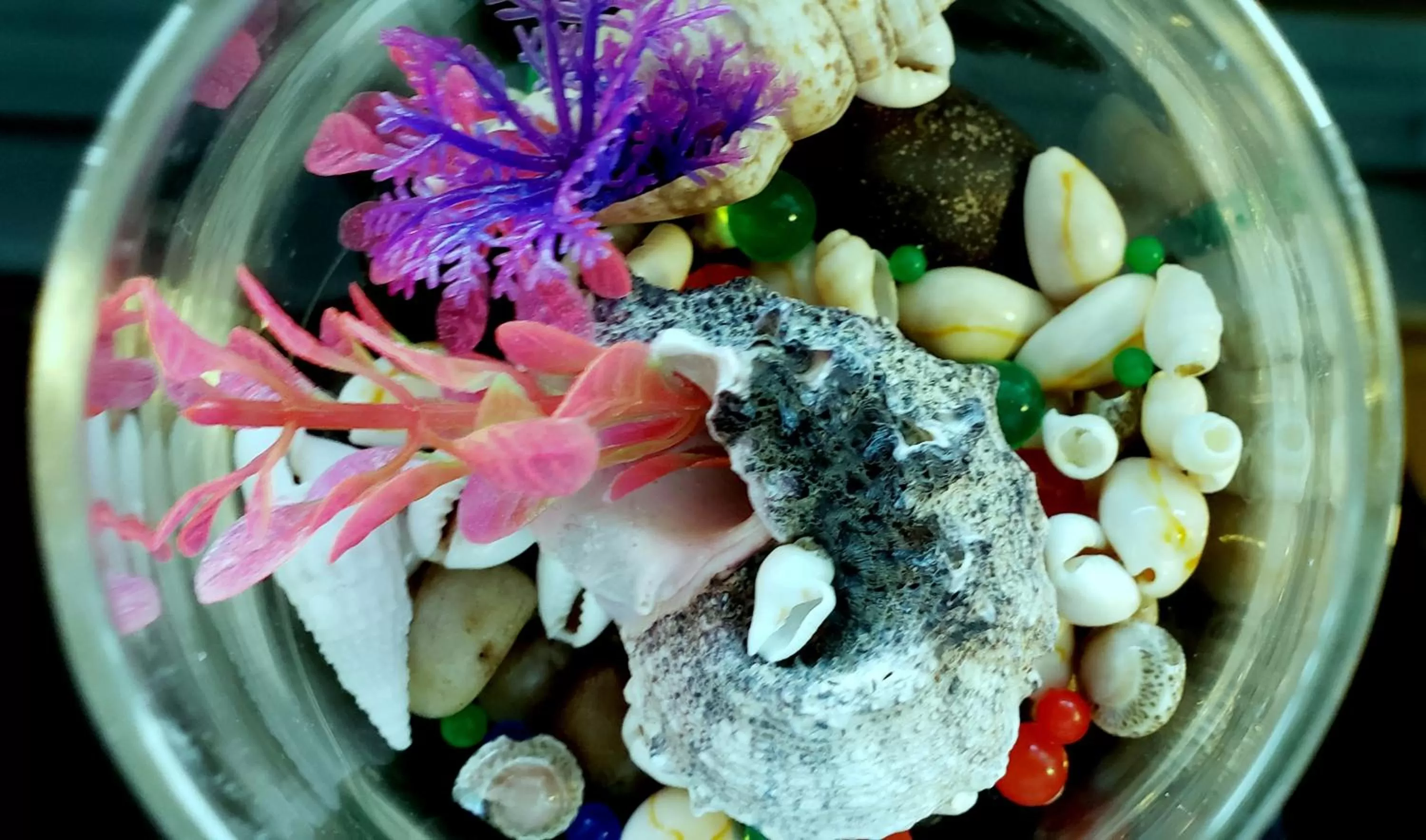 Decorative detail, Food in Travellers Motel