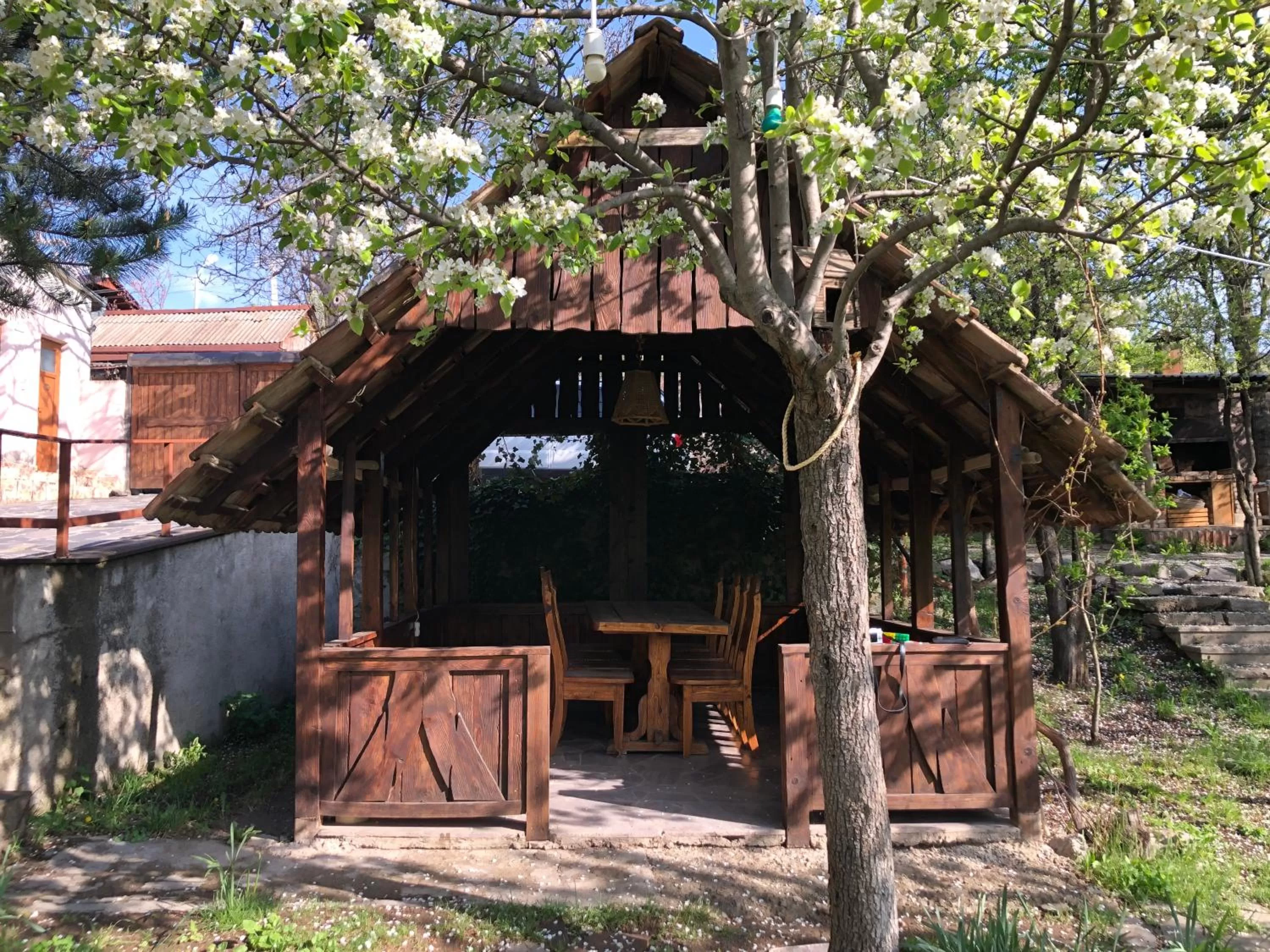 Garden in Dil Hill by Sam