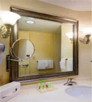 Bathroom in Holiday Inn Chantilly-Dulles Expo Airport by IHG
