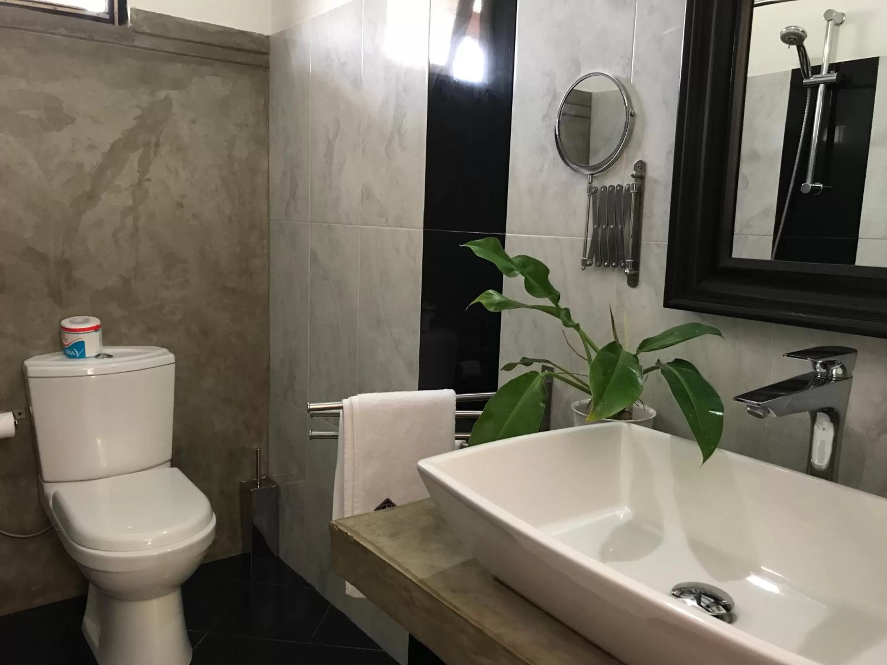 Toilet in Hotel Heladiv