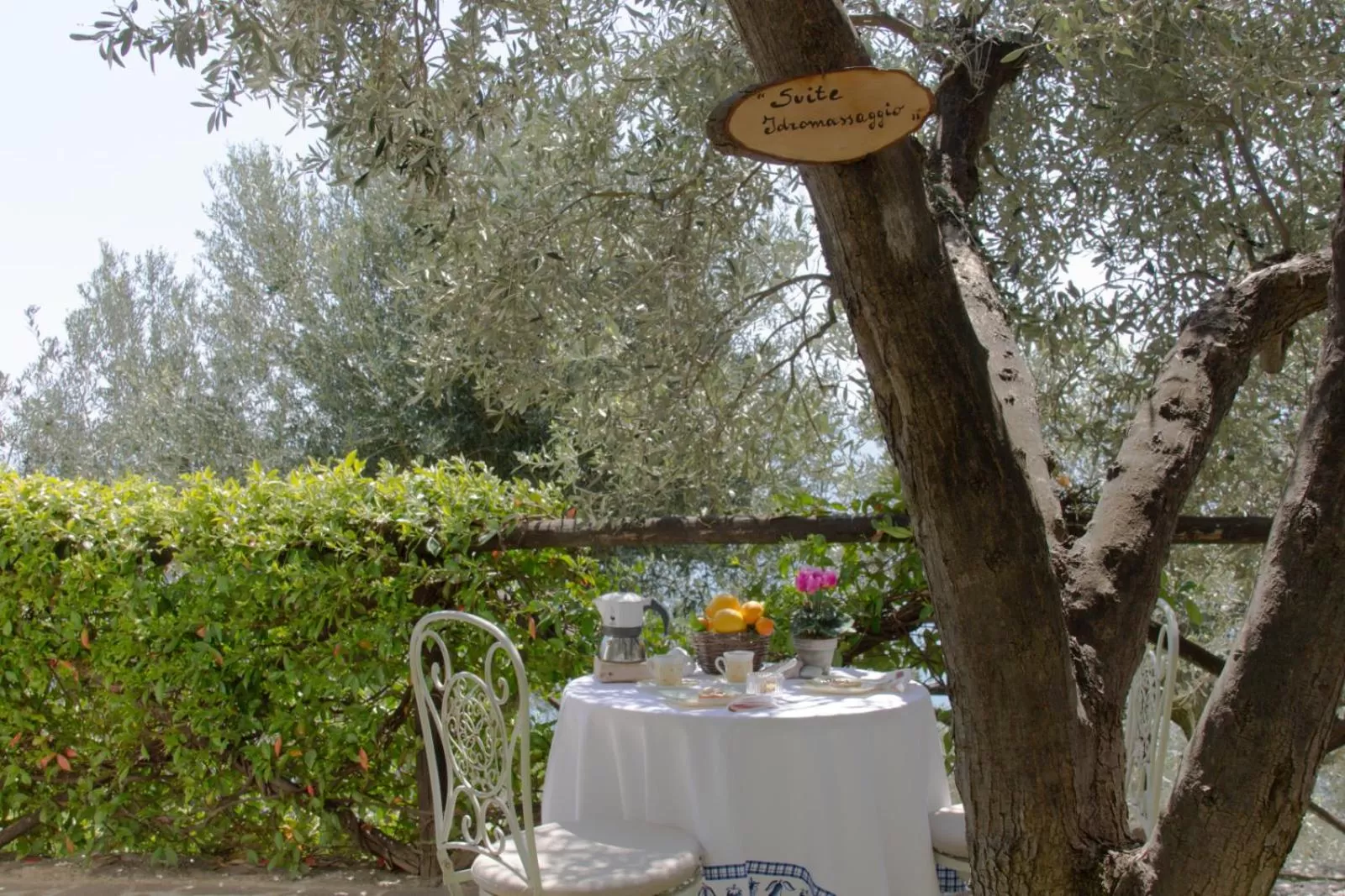 Garden in Villa Degli Ulivi B&B