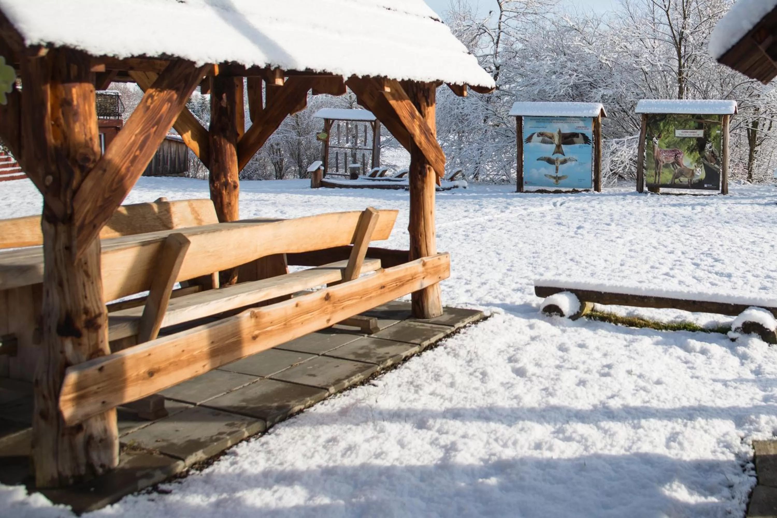 Windsurfing in Gościniec Pięciu Stawów