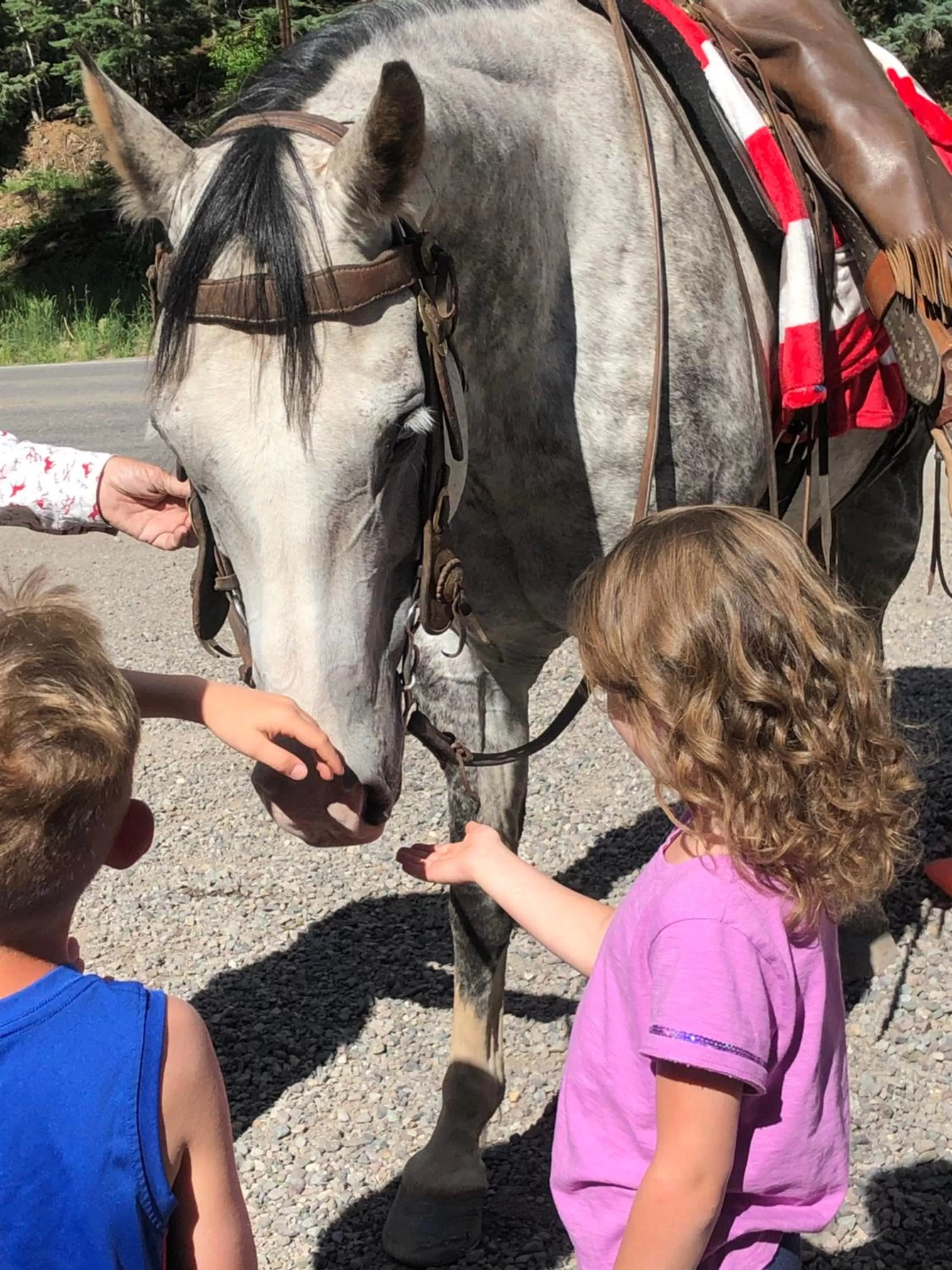 Children in Timber Ridge Lodge Ouray