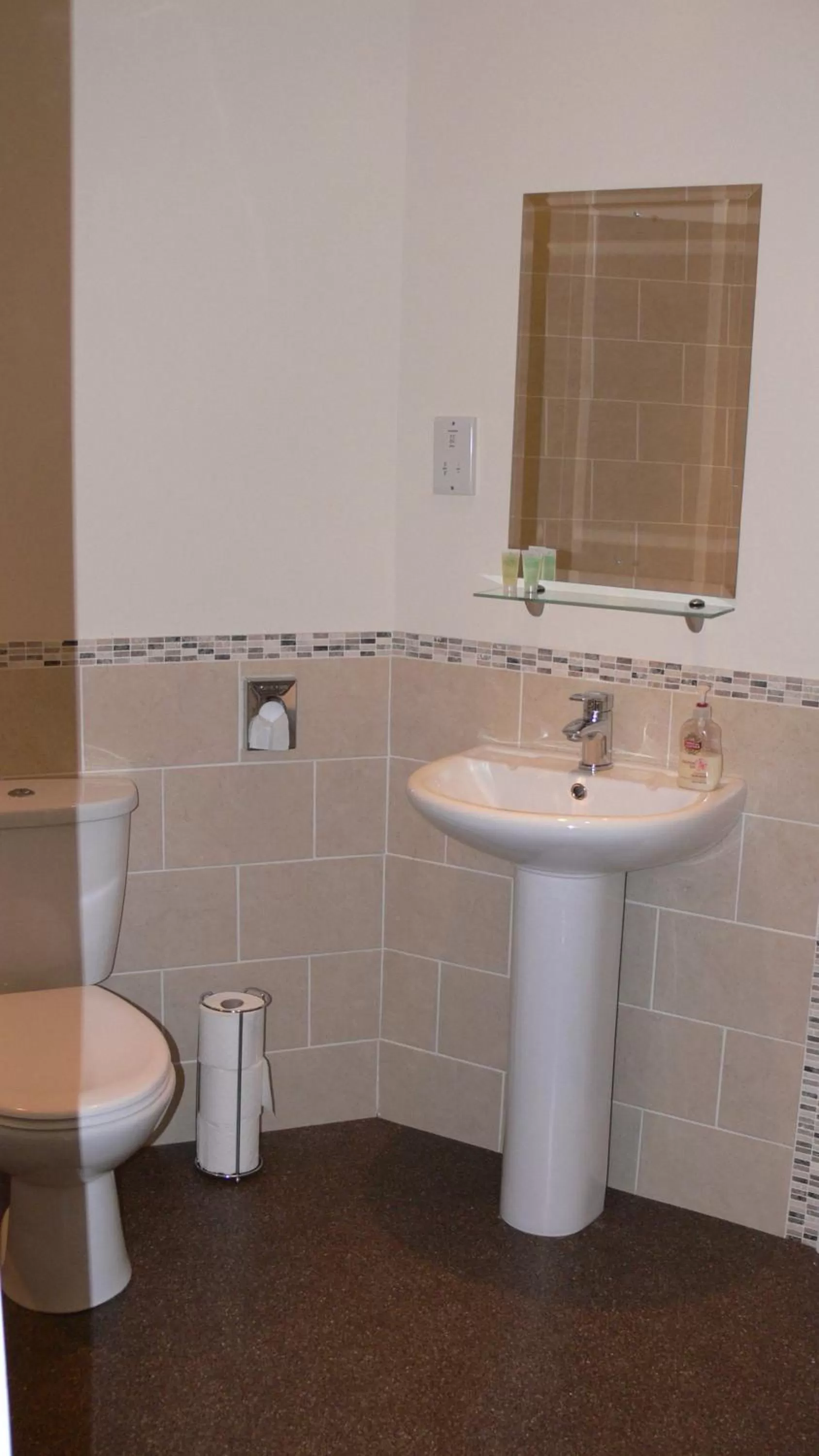 Toilet in The Home Arms Guesthouse