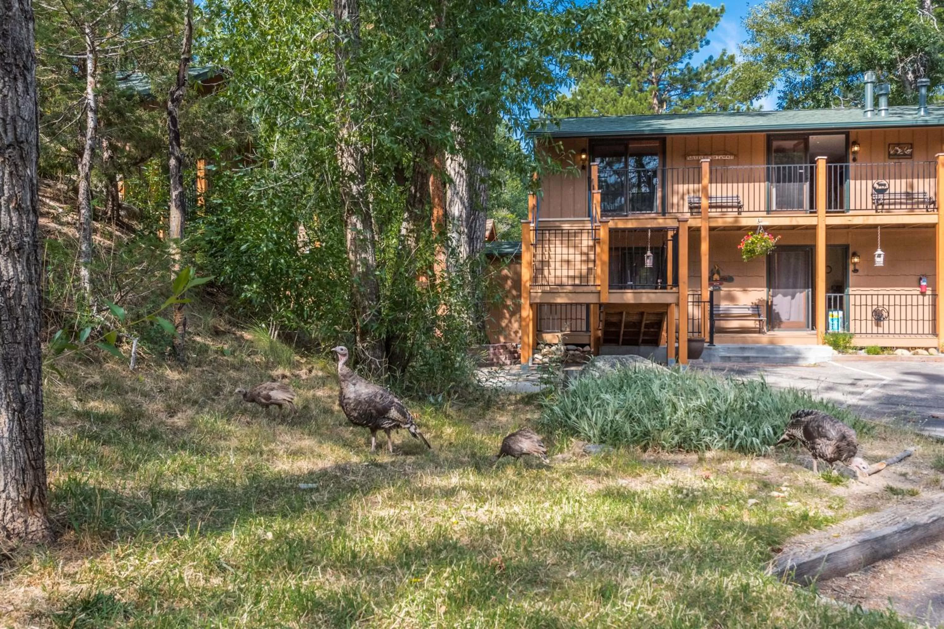 4 Seasons Inn on Fall River