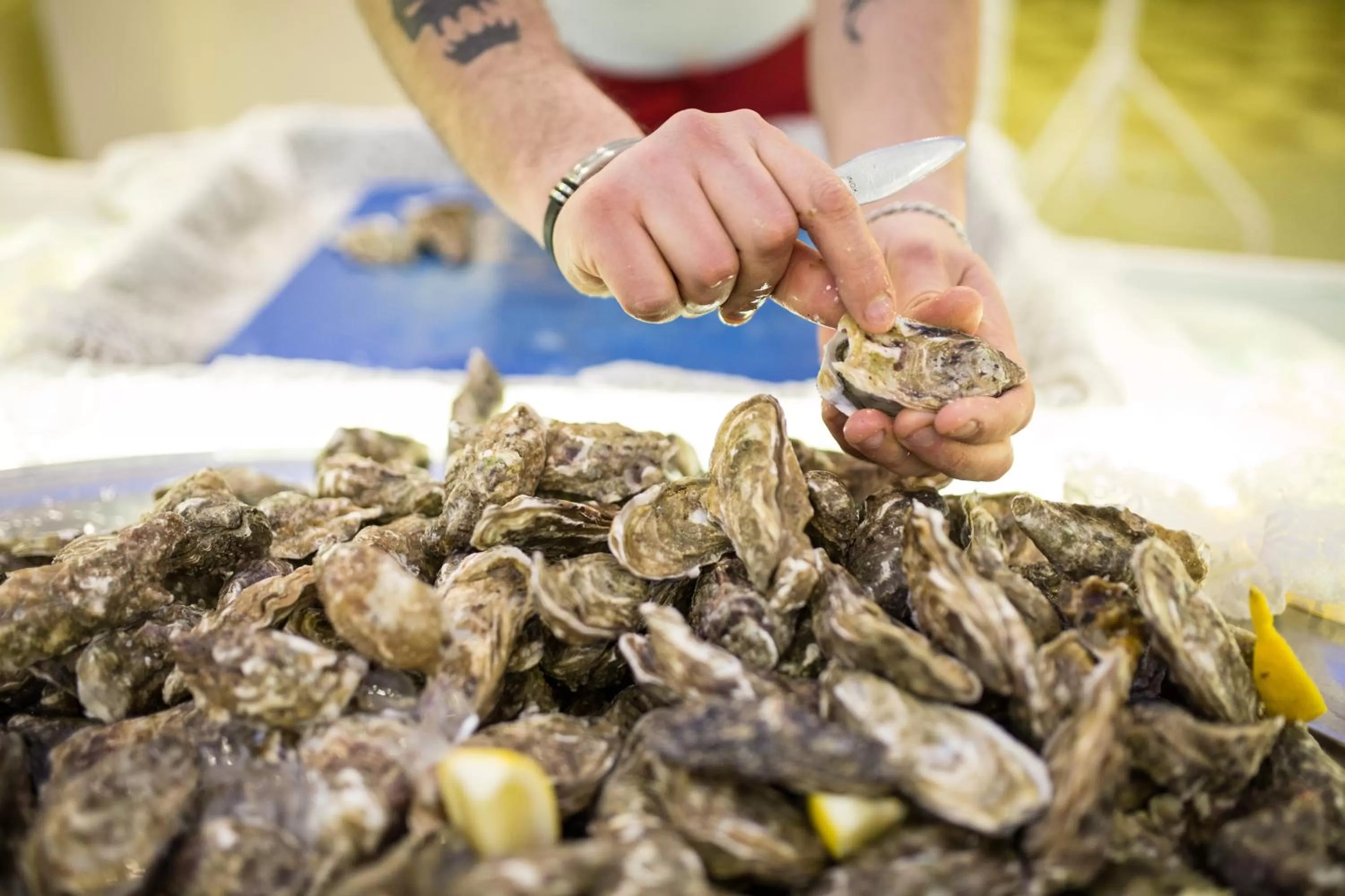 Restaurant/places to eat in Hotel Holiday