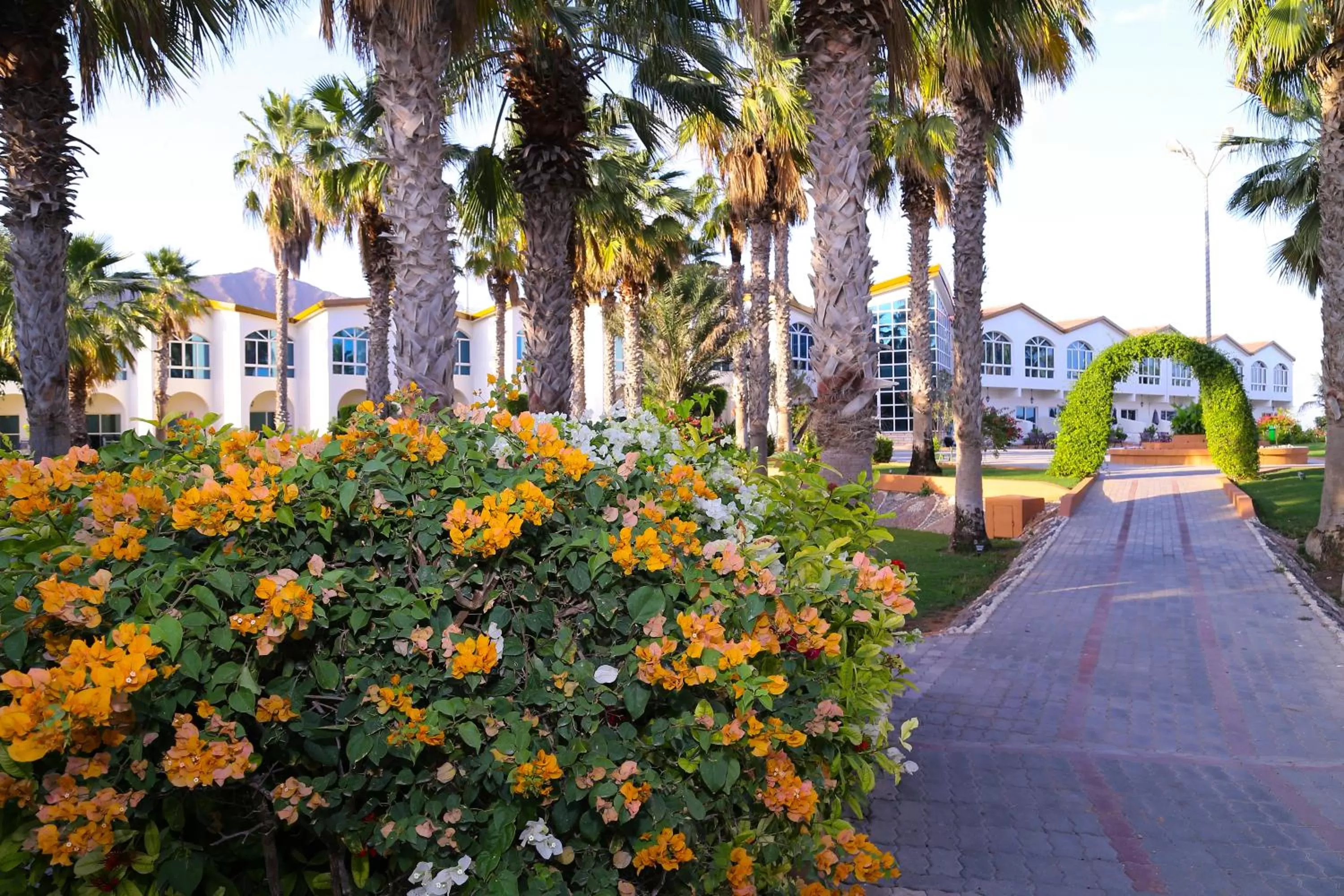 Property building in Sandy Beach Hotel & Resort