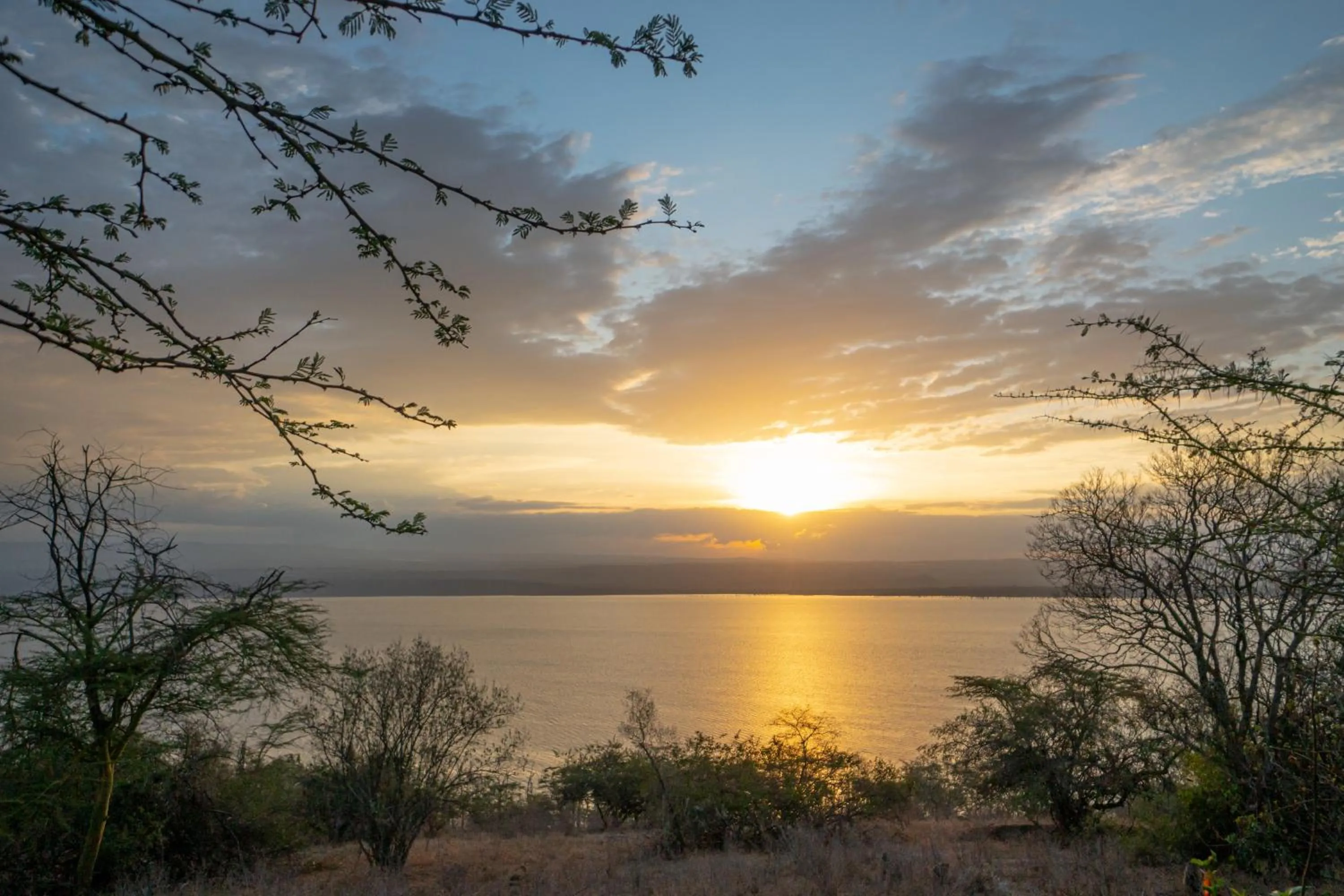 Natural landscape in Sarova Lion Hill Game Lodge