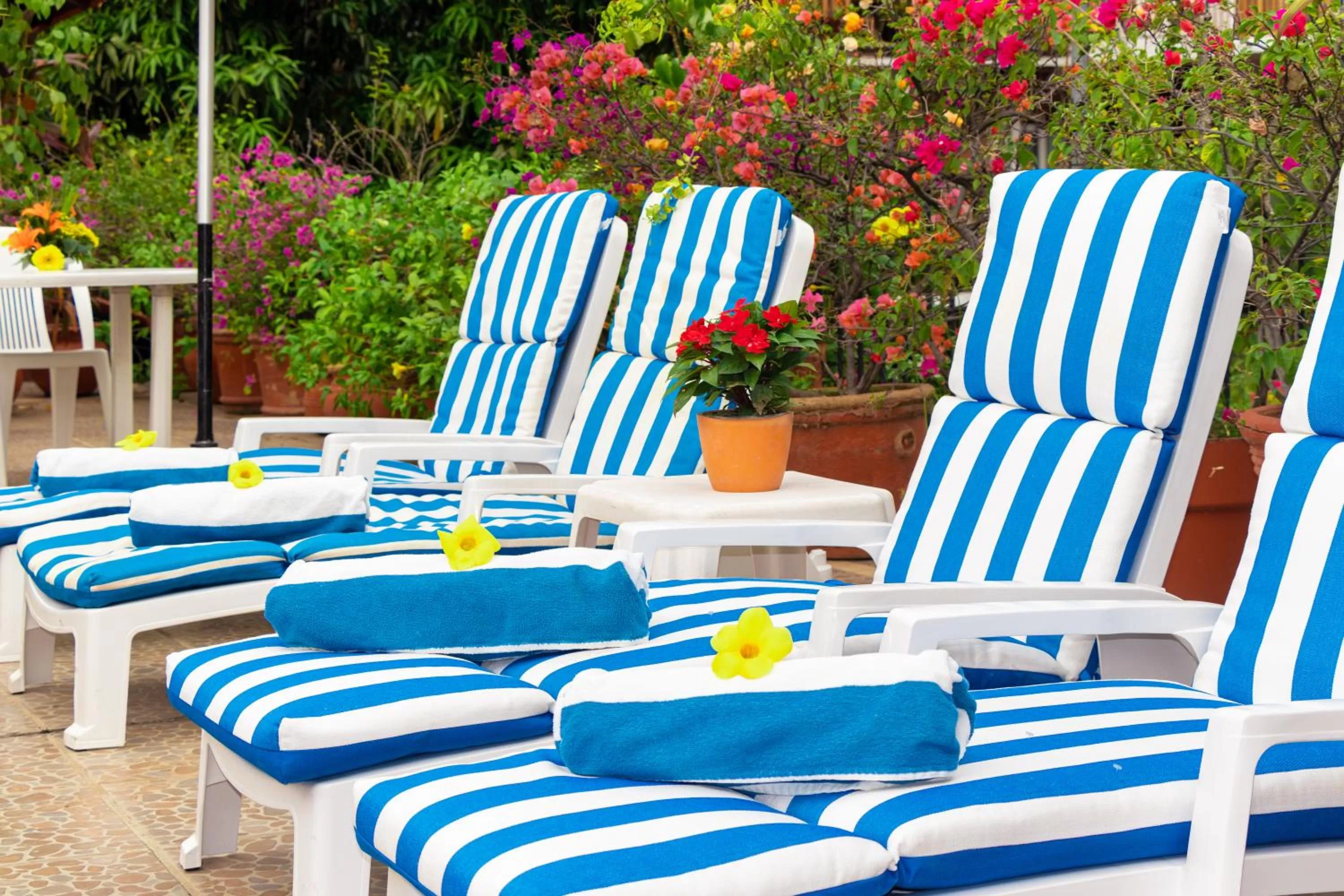 Balcony/Terrace in Hotel Posada De Roger - Near Los Muertos Beach