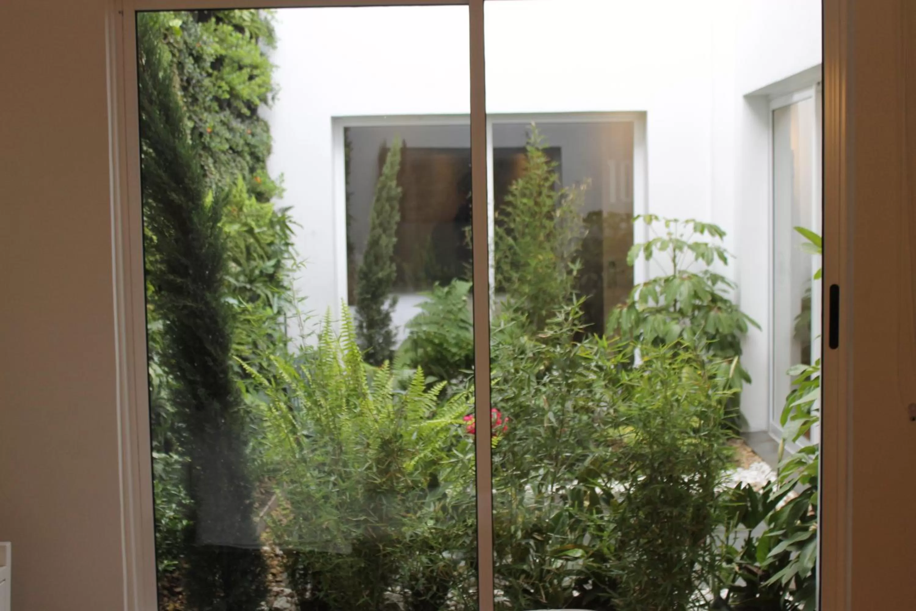 Garden in Casa Hotel Boyaca Real