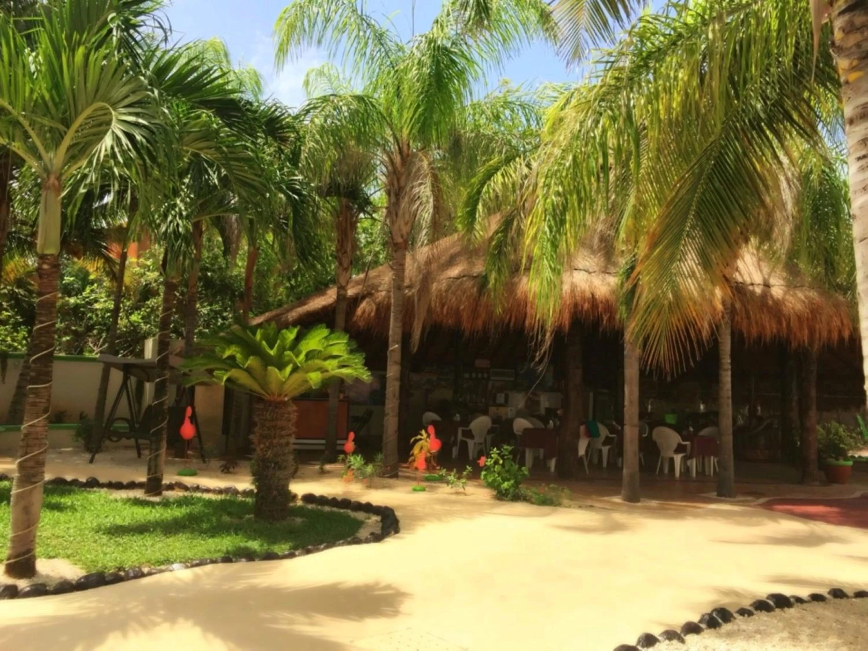 Lobby or reception in Villas Coco Resort - All Suites