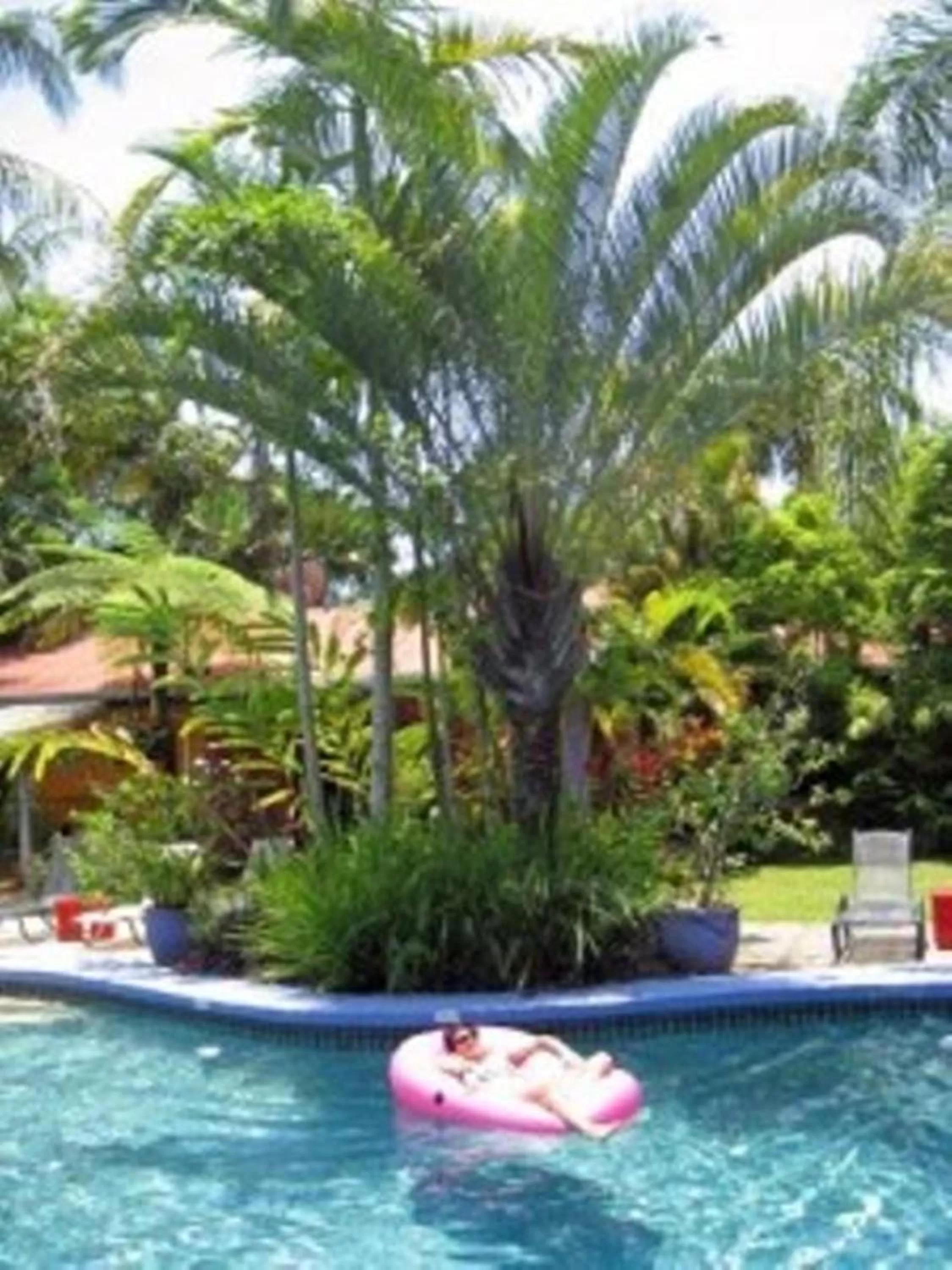 Swimming pool in Pink Flamingo Resort