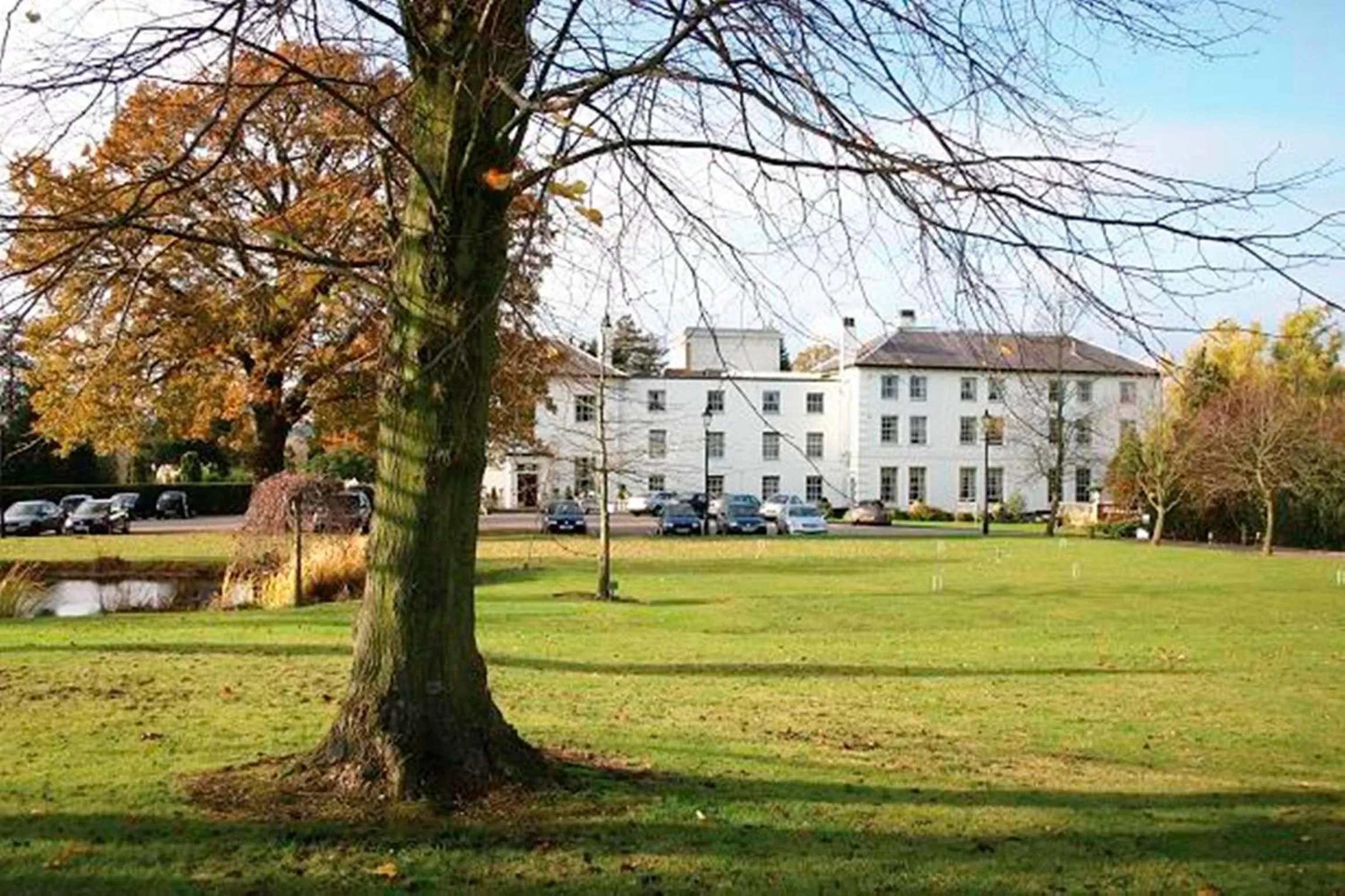 Garden in West Lodge Park