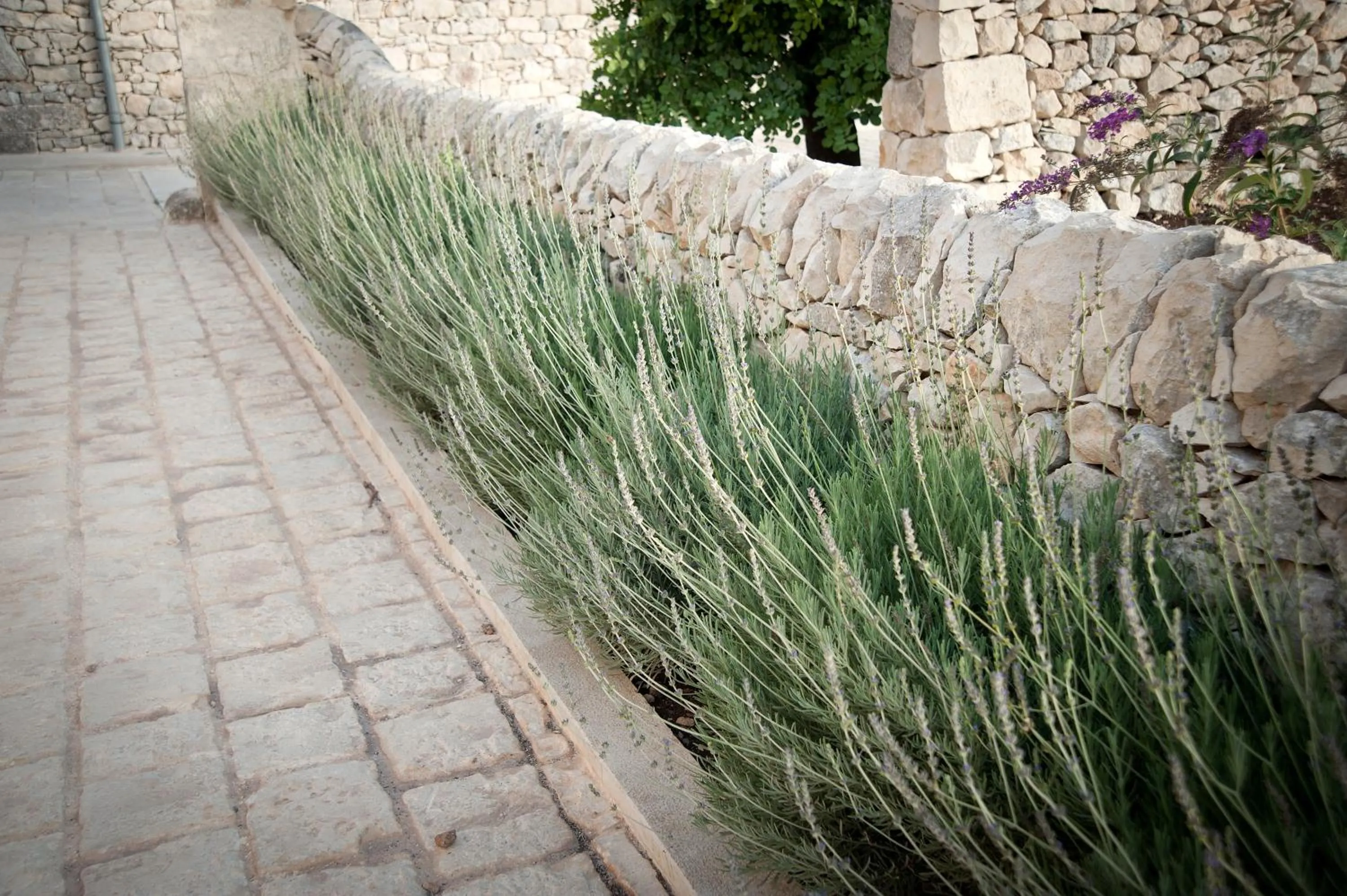 Decorative detail in La Dimora di Spartivento - BW Signature Collection