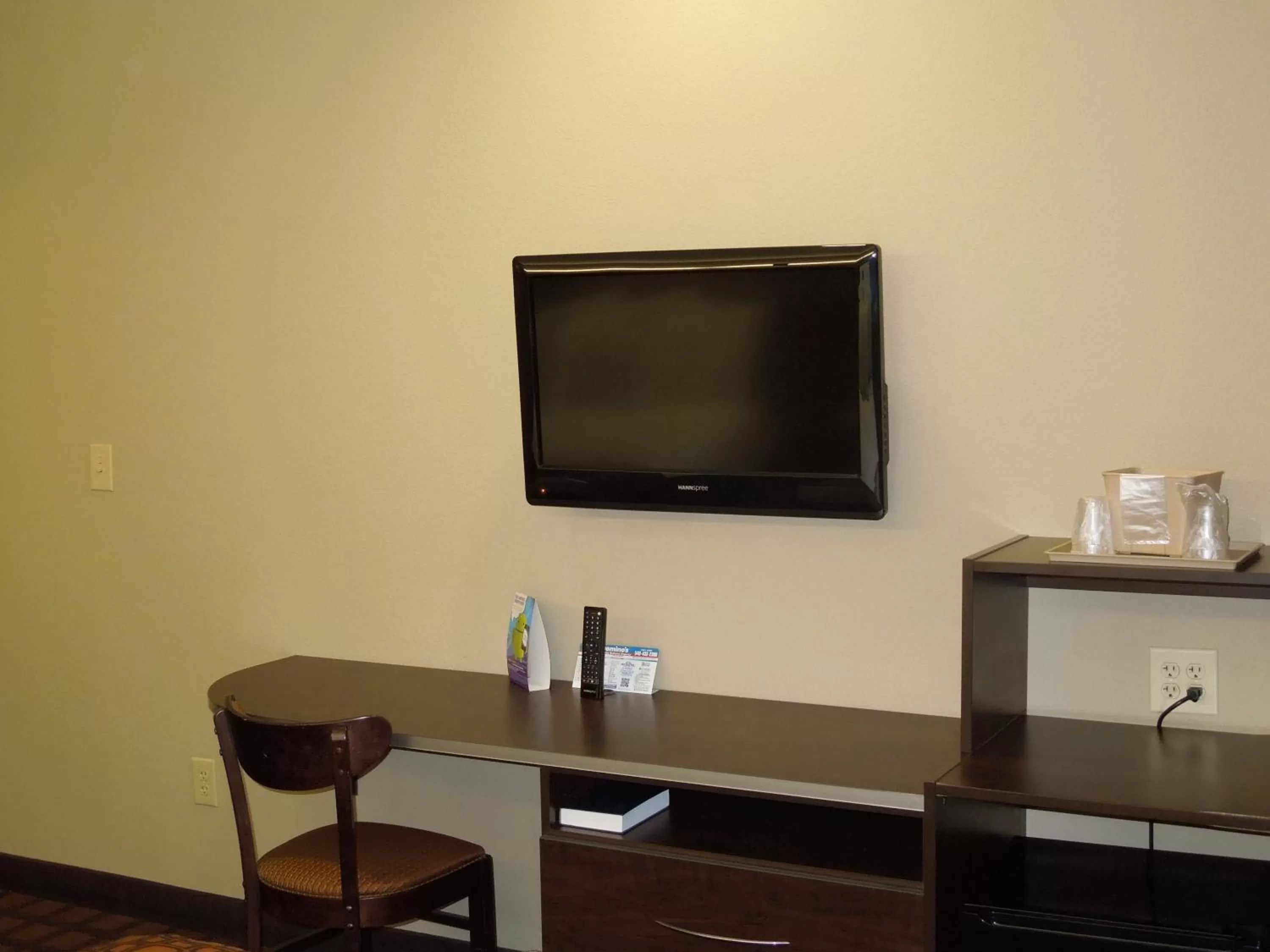 TV and multimedia in Microtel Inn & Suites by Wyndham Harrisonburg
