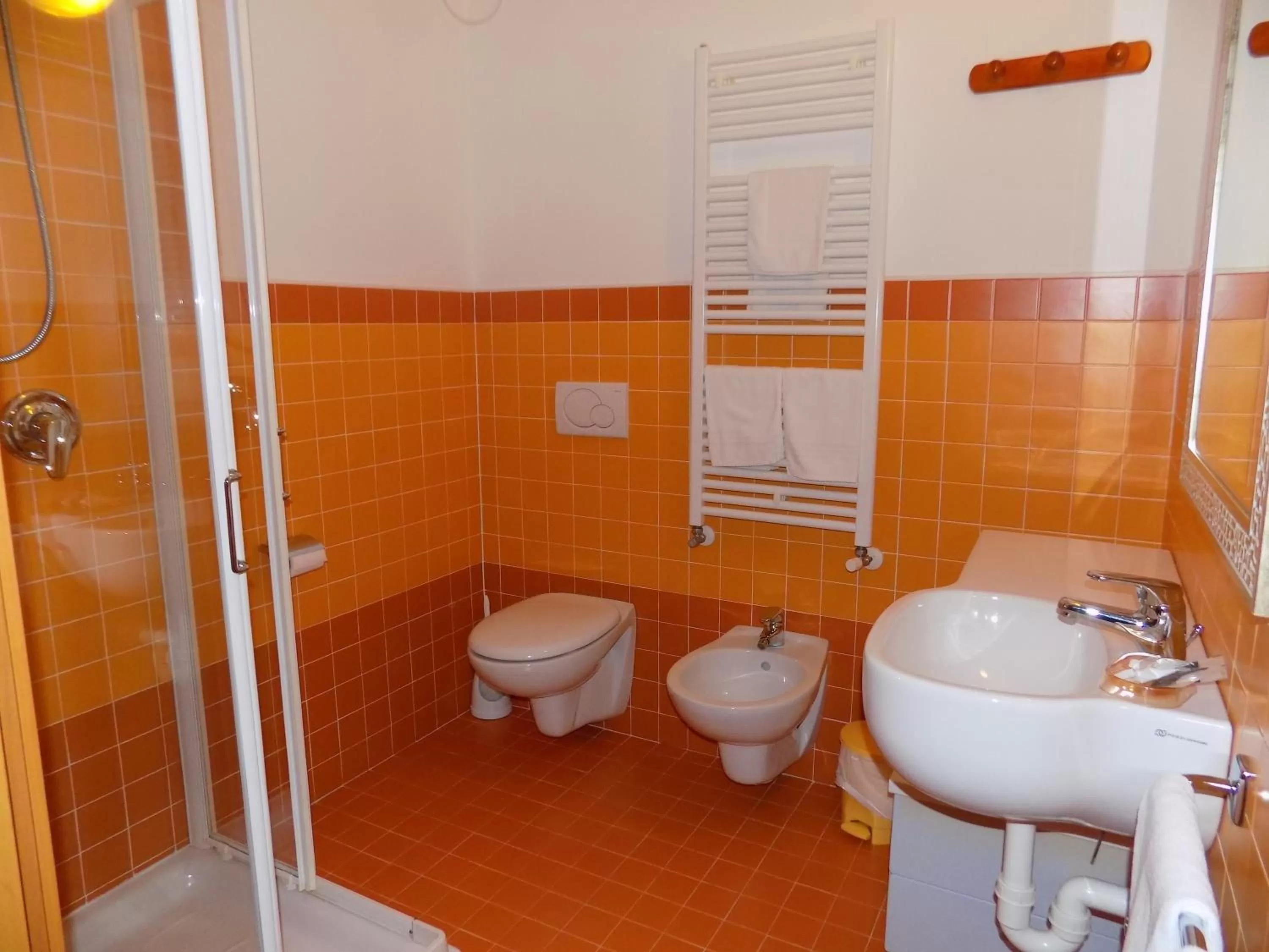 Shower, Bathroom in Hotel Residence Sole