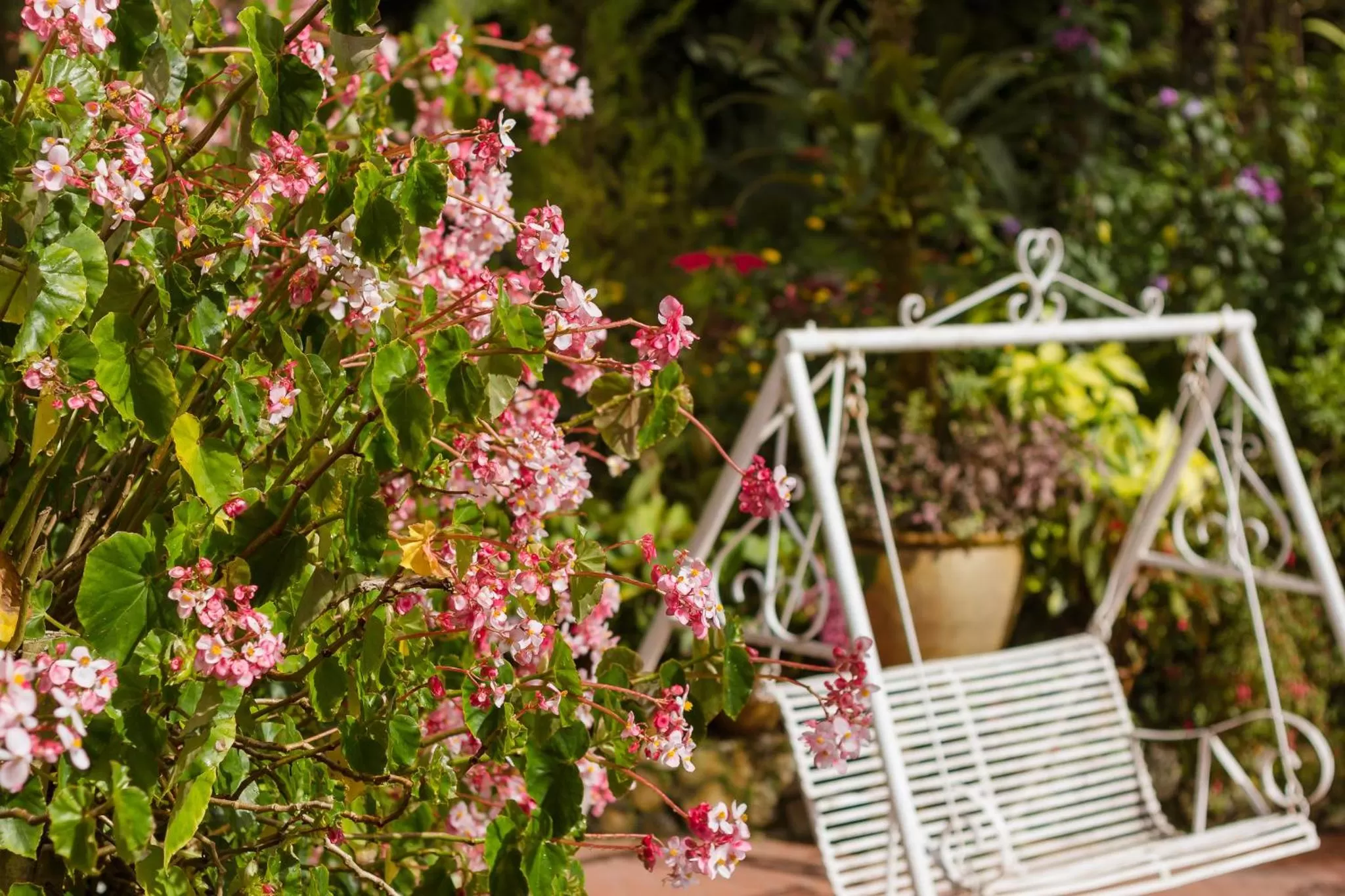 Property building in The Smokehouse Hotel & Restaurant Cameron Highlands