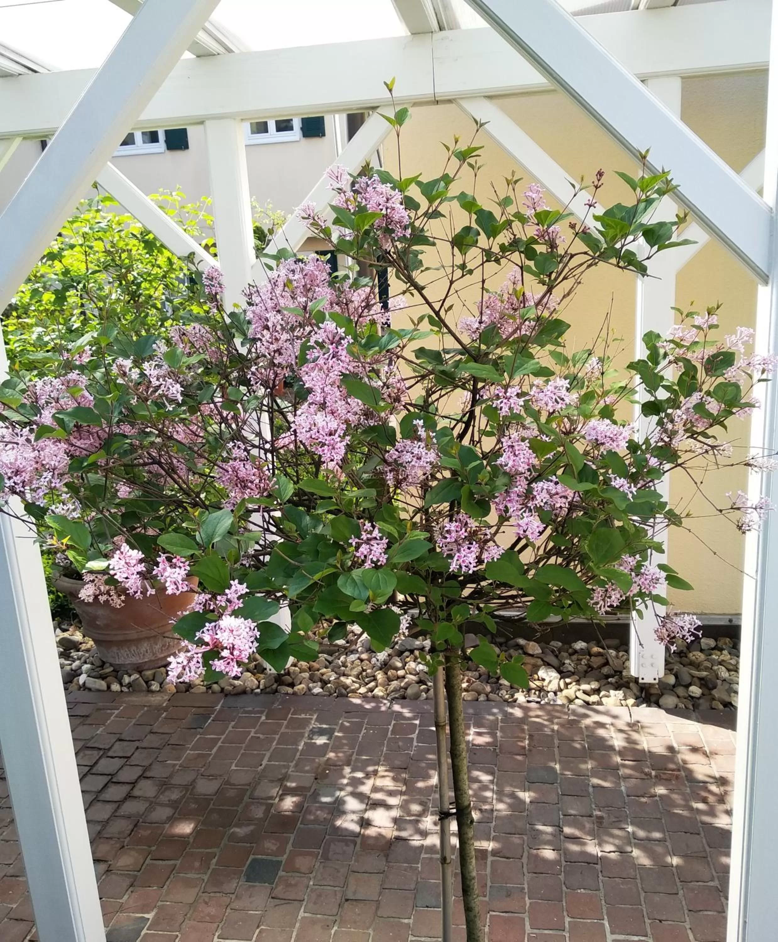 Patio in Carlstadt Suites Düsseldorf