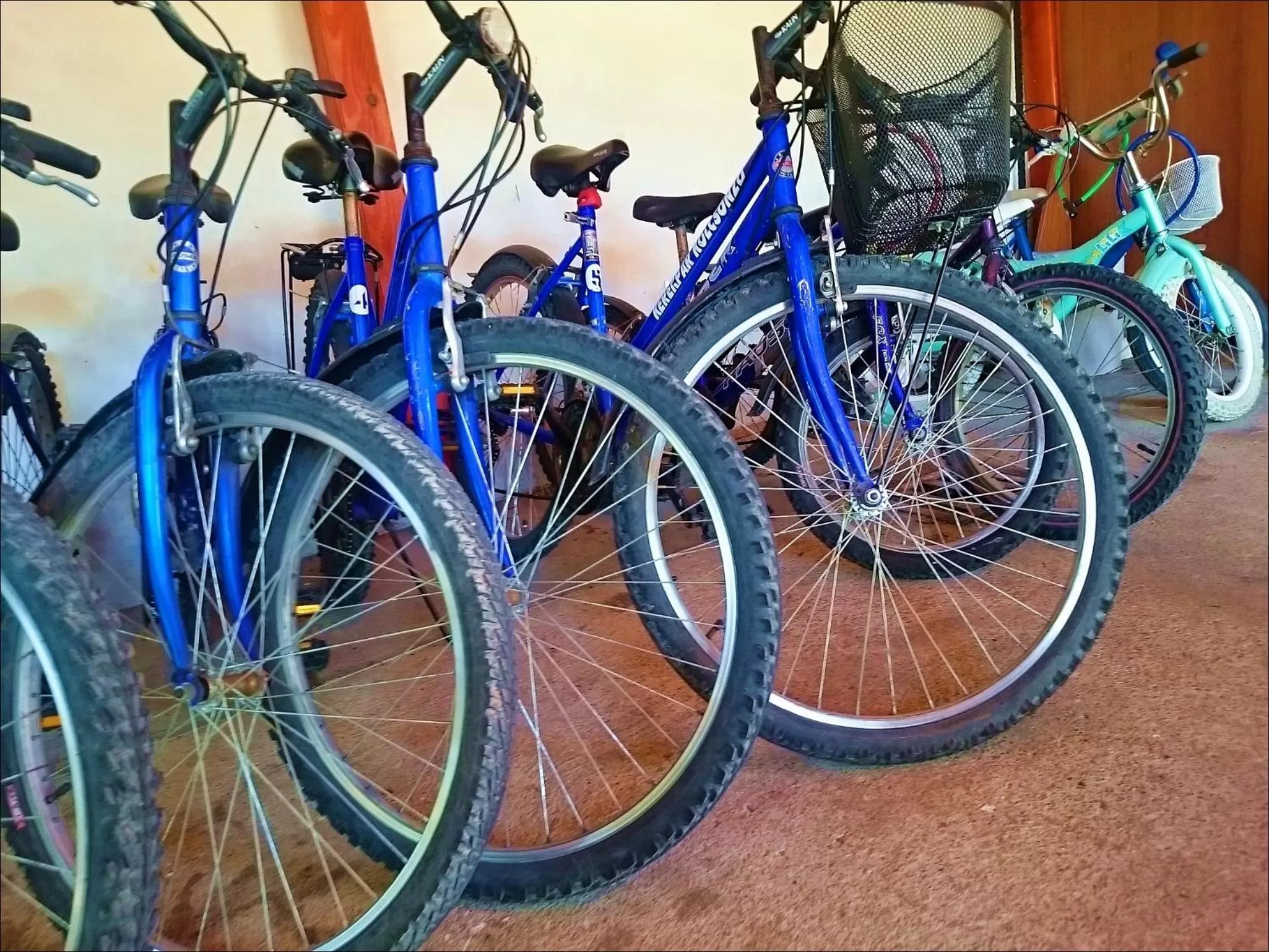 Fishing in Nefelejcs Hotel