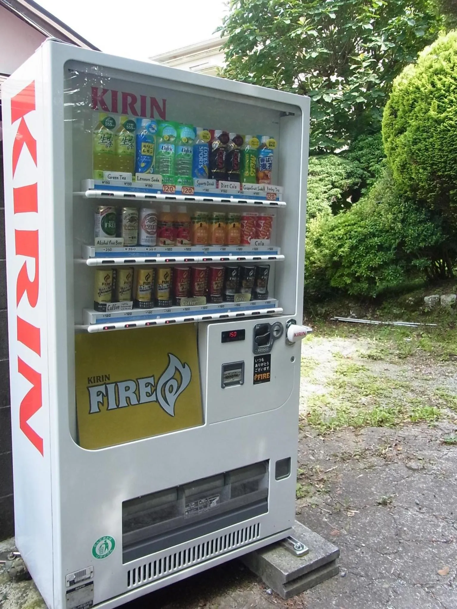 Area and facilities in Fuji-Hakone Guest House