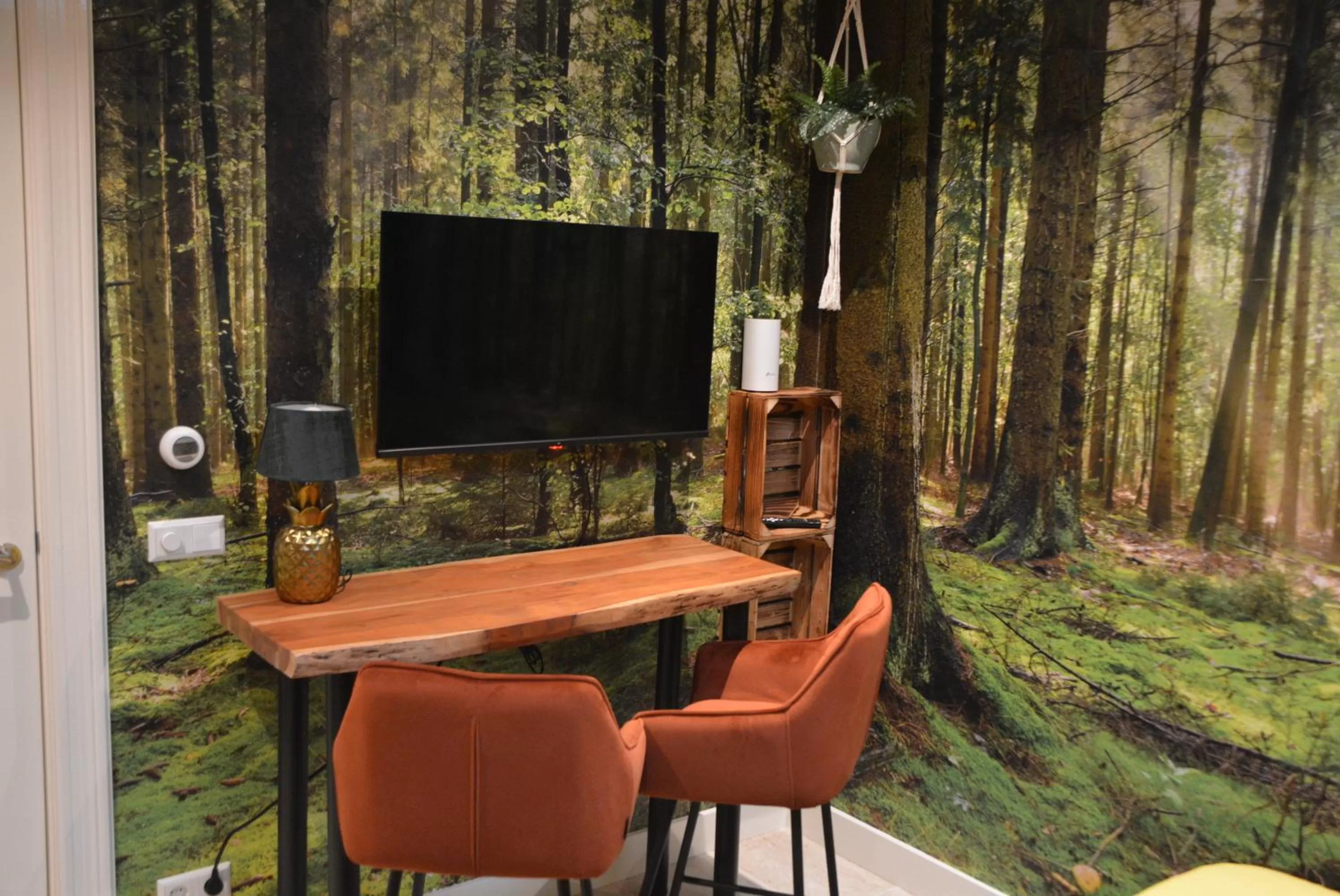 TV and multimedia, TV/Entertainment Center in Heaven in East B&B