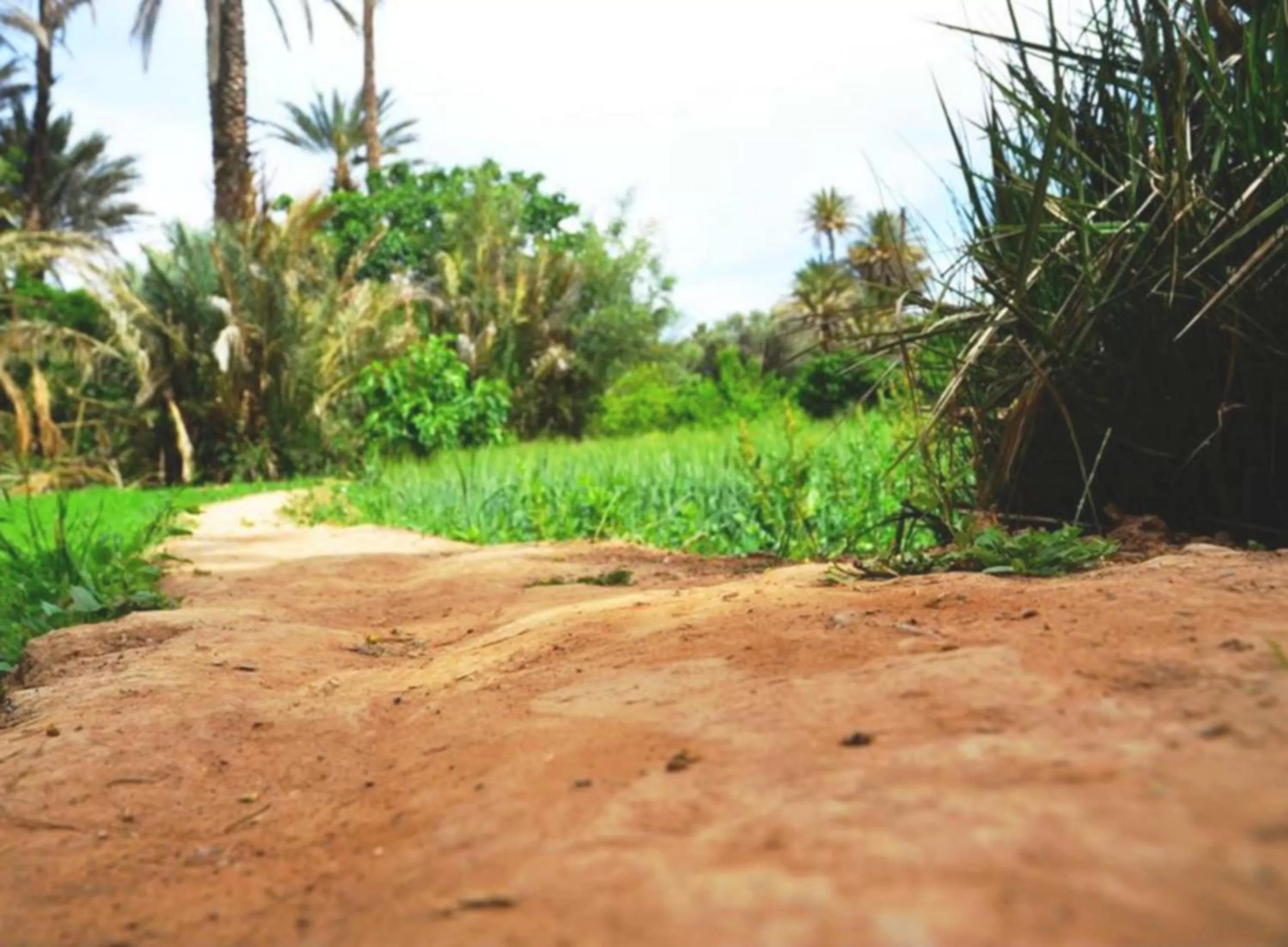 Hiking in Hotel Restaurant La Kasbah