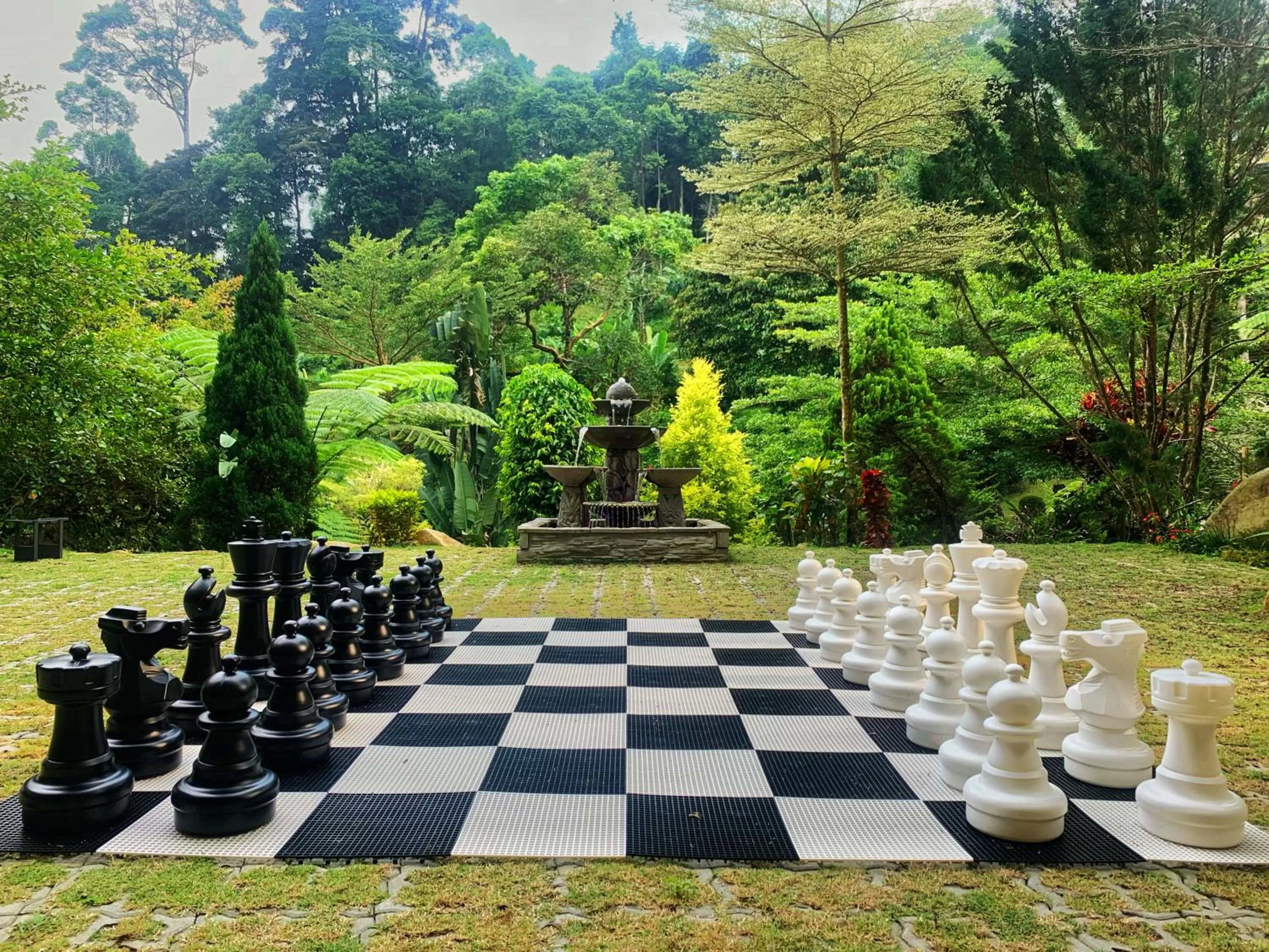 Sports in Harmony Valley Retreat