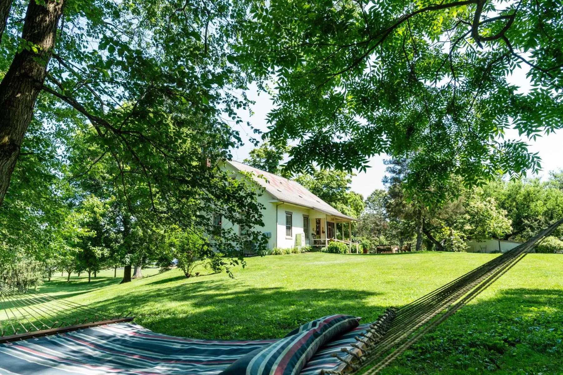 The Pines of Dresden