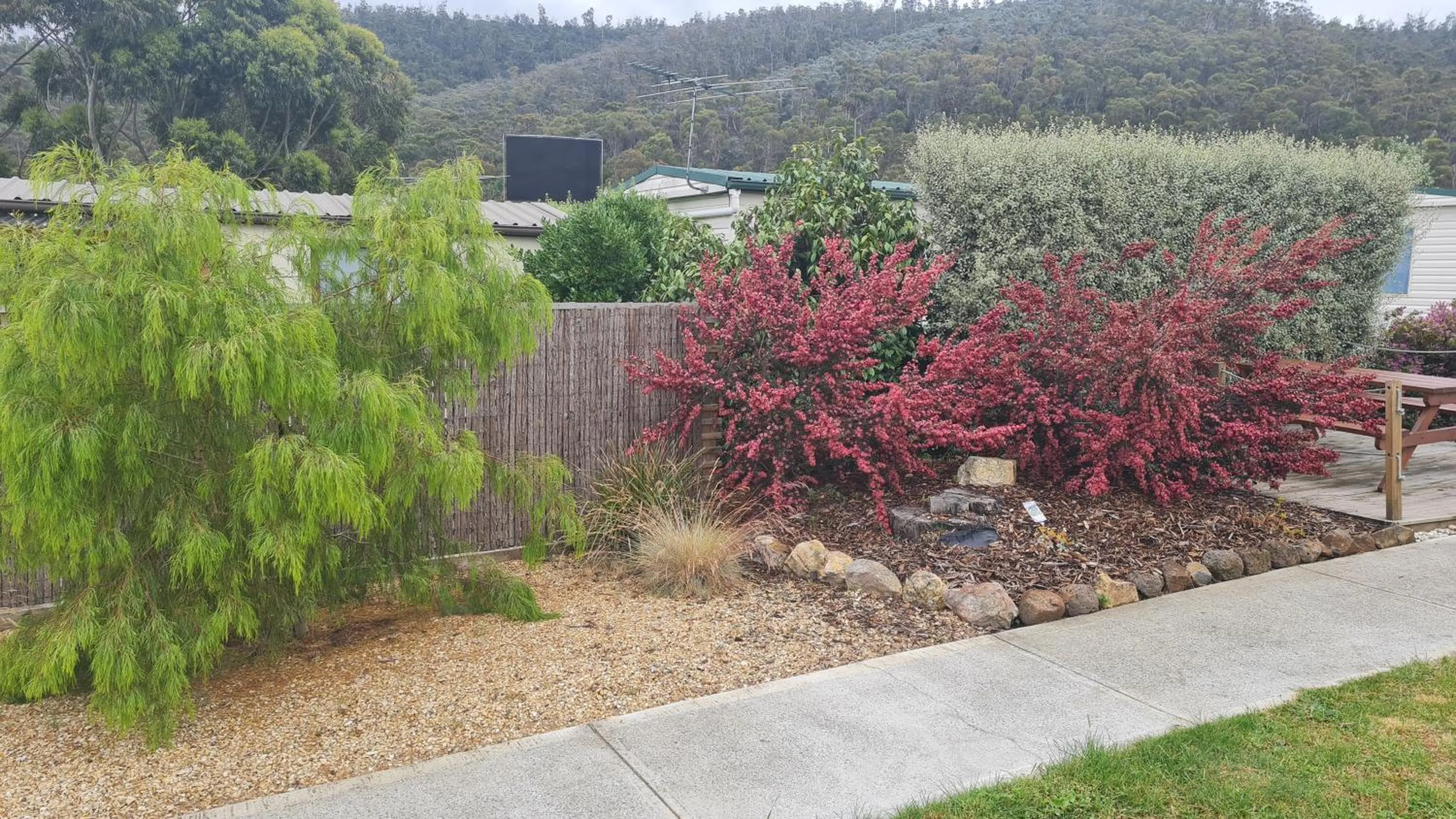 Garden in Discovery Parks - Mornington Hobart