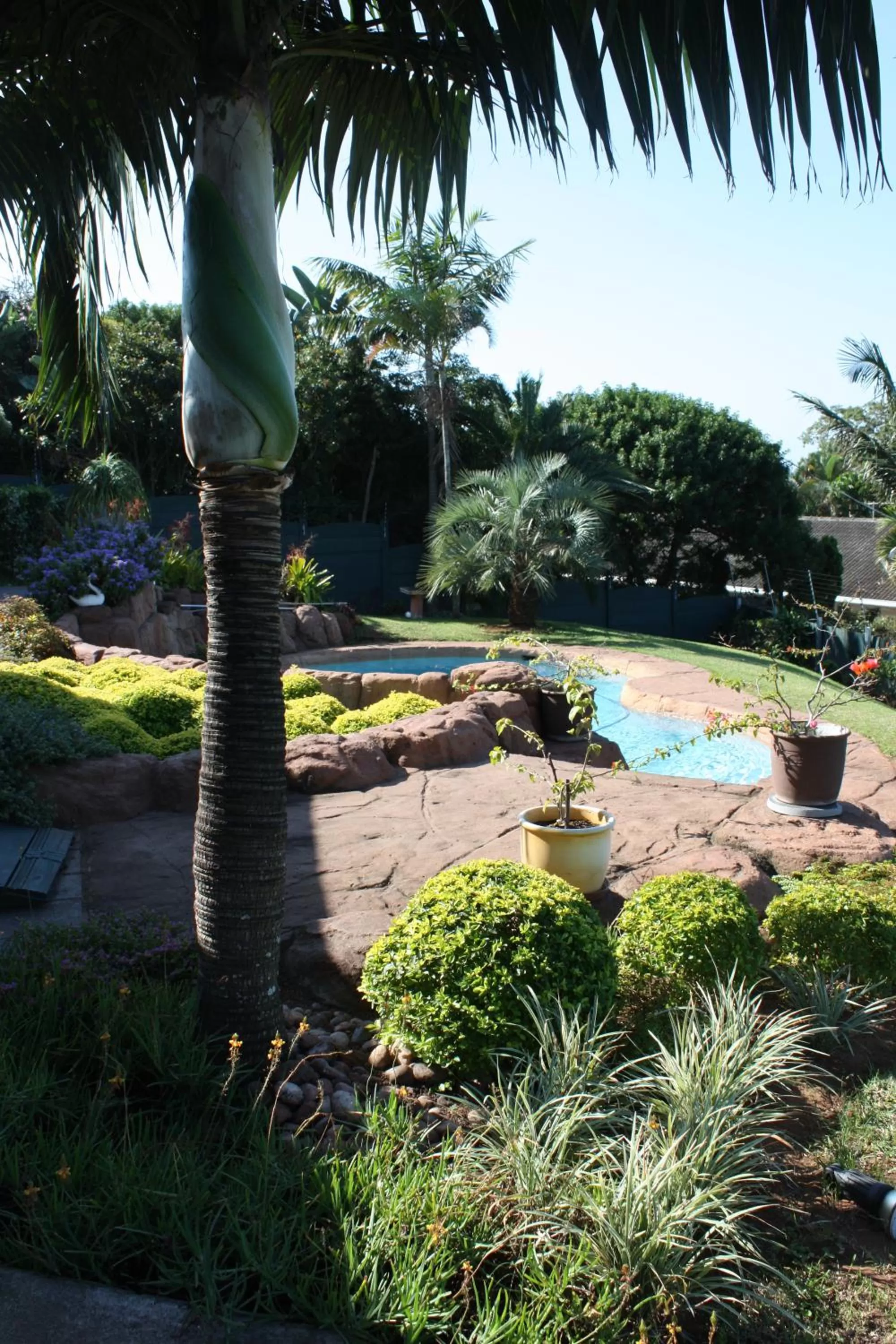 Garden in Addis Bed and Breakfast