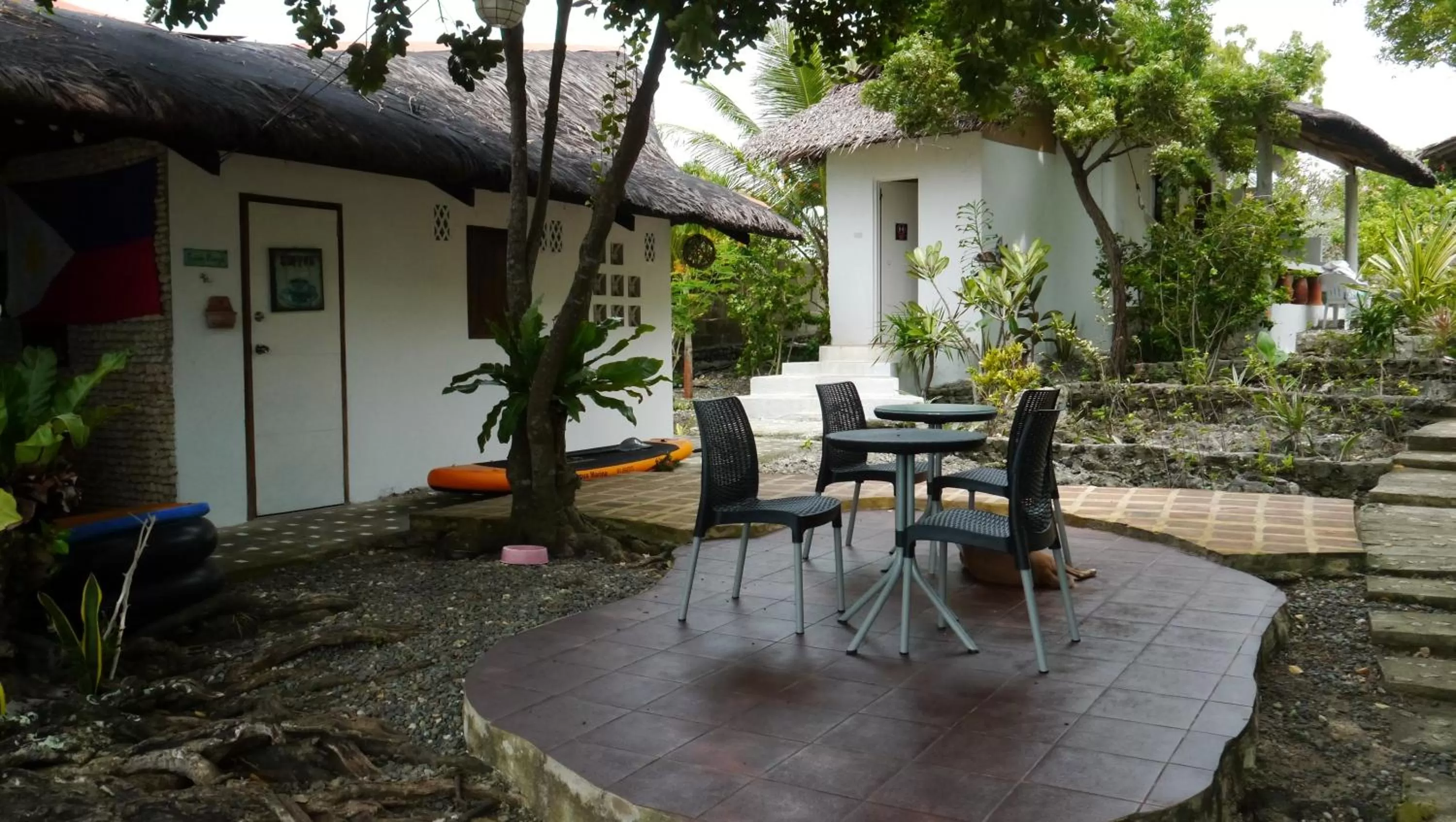 Food and drinks in Moalboal T Breeze Coastal Resort