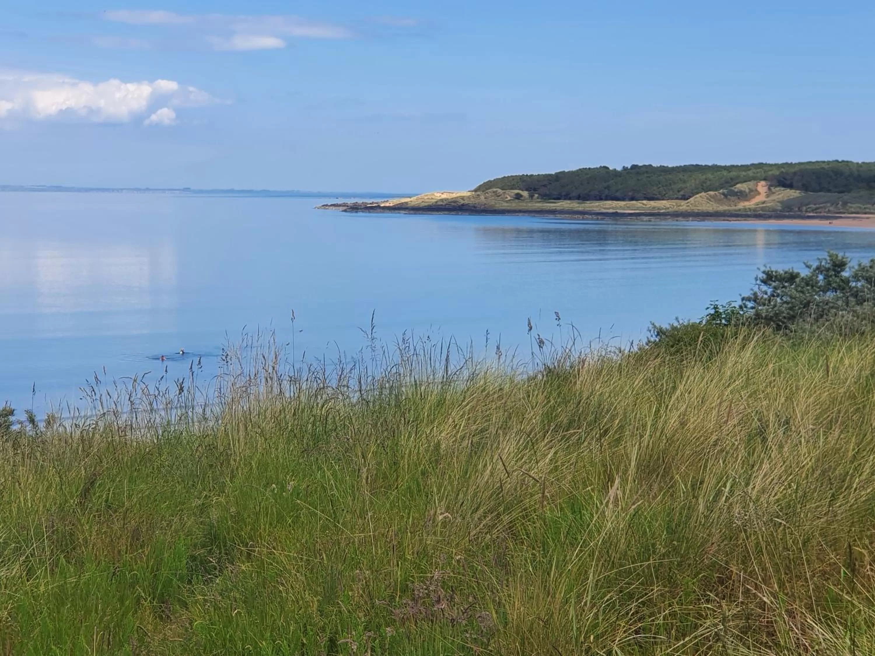Beach in Maple Cottage B&B