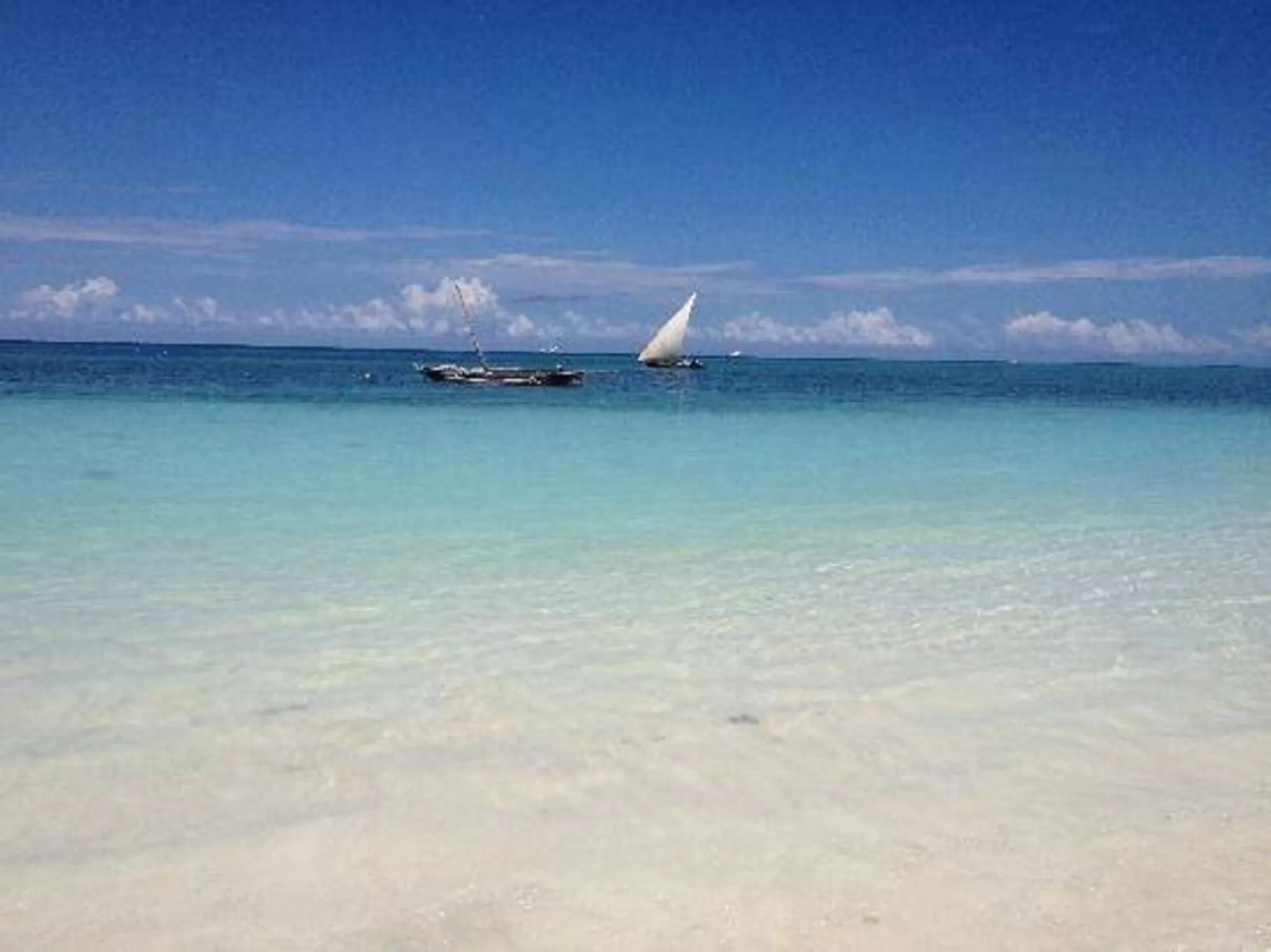 Summer in Ebony & Ivory Beach Bungalows