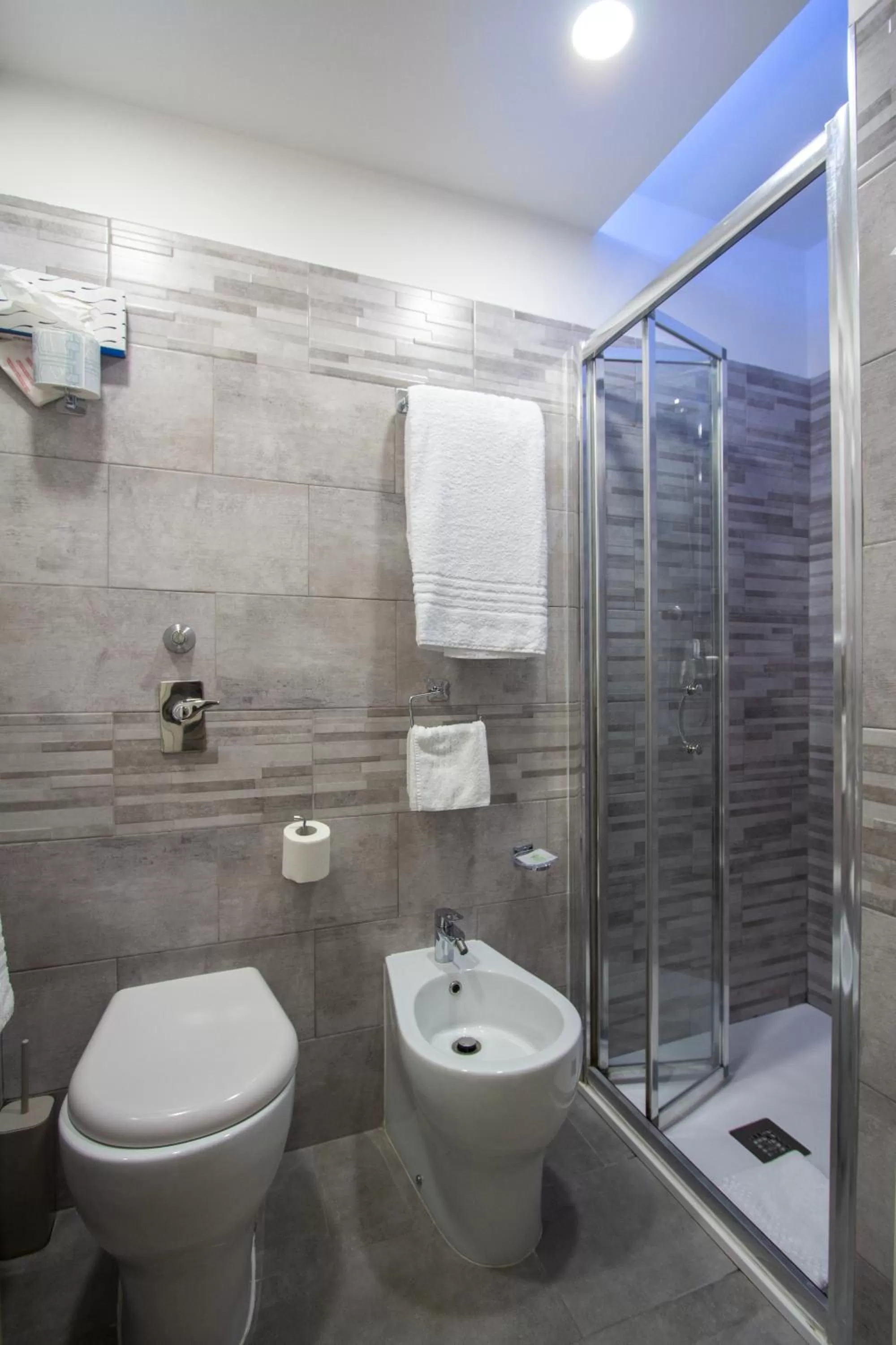 Bathroom in Hotel Flora