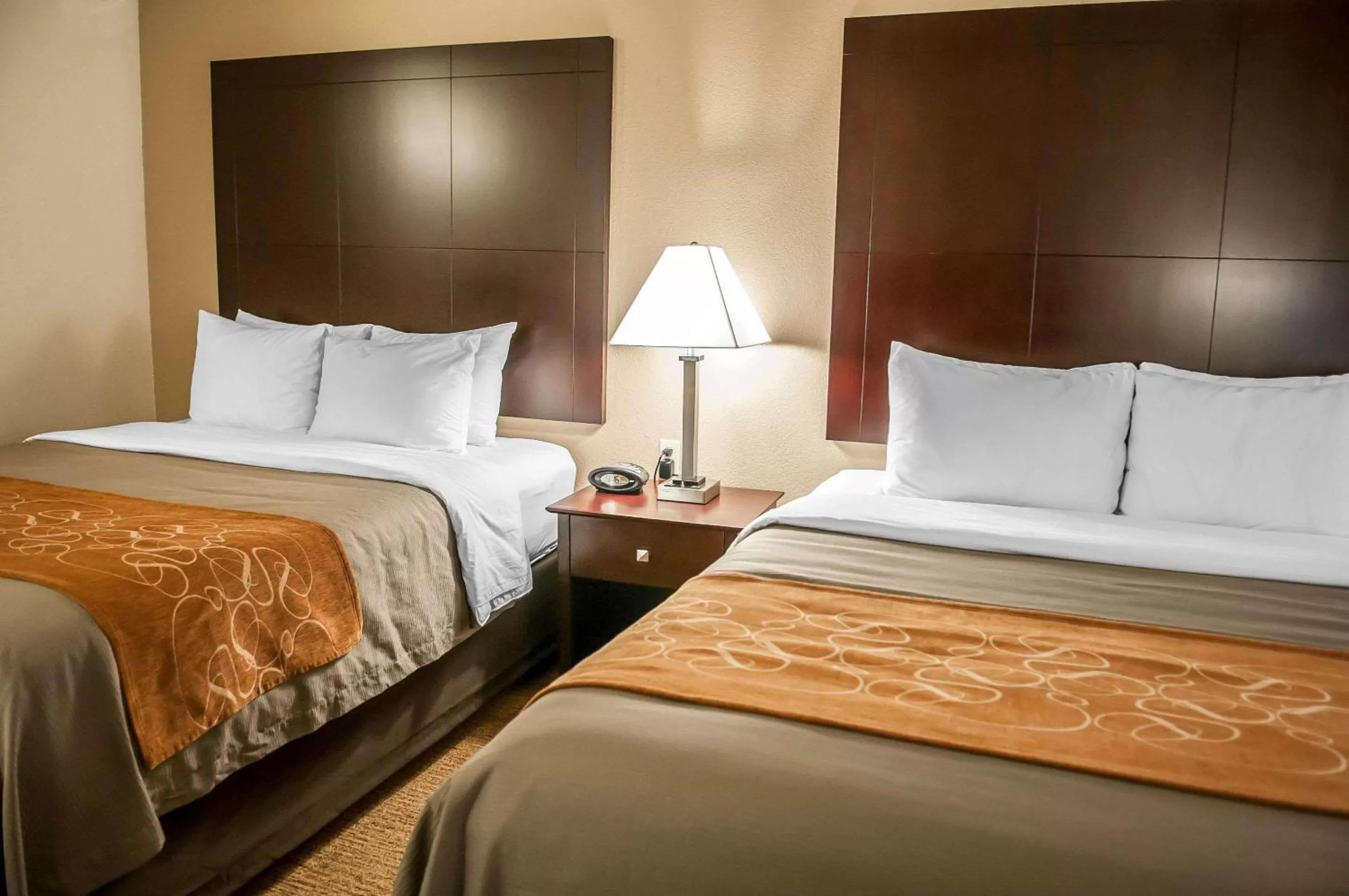 Photo of the whole room, Bed in Comfort Suites Albuquerque-North Journal Center