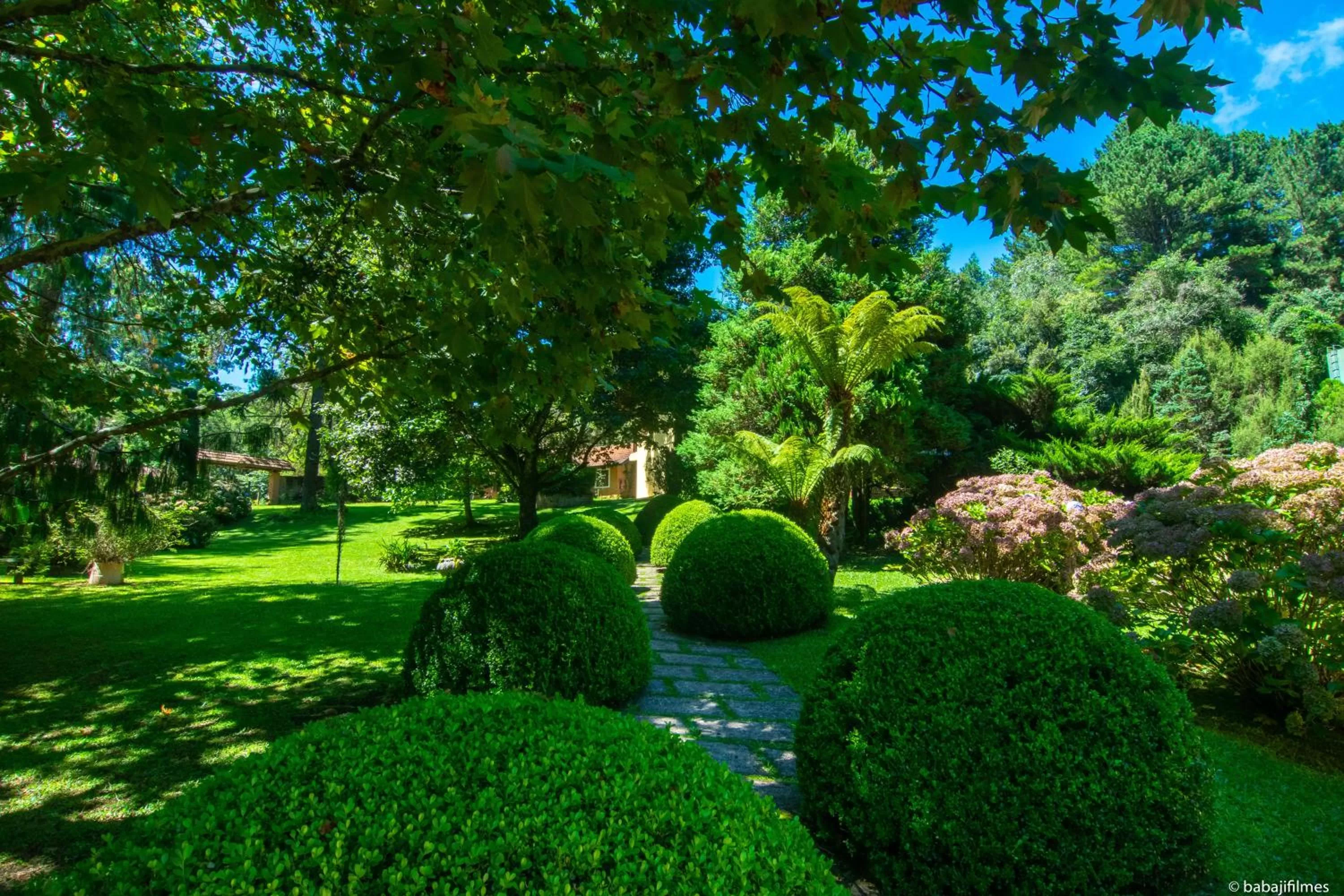 Natural landscape, Garden in Pousada Serra Villena