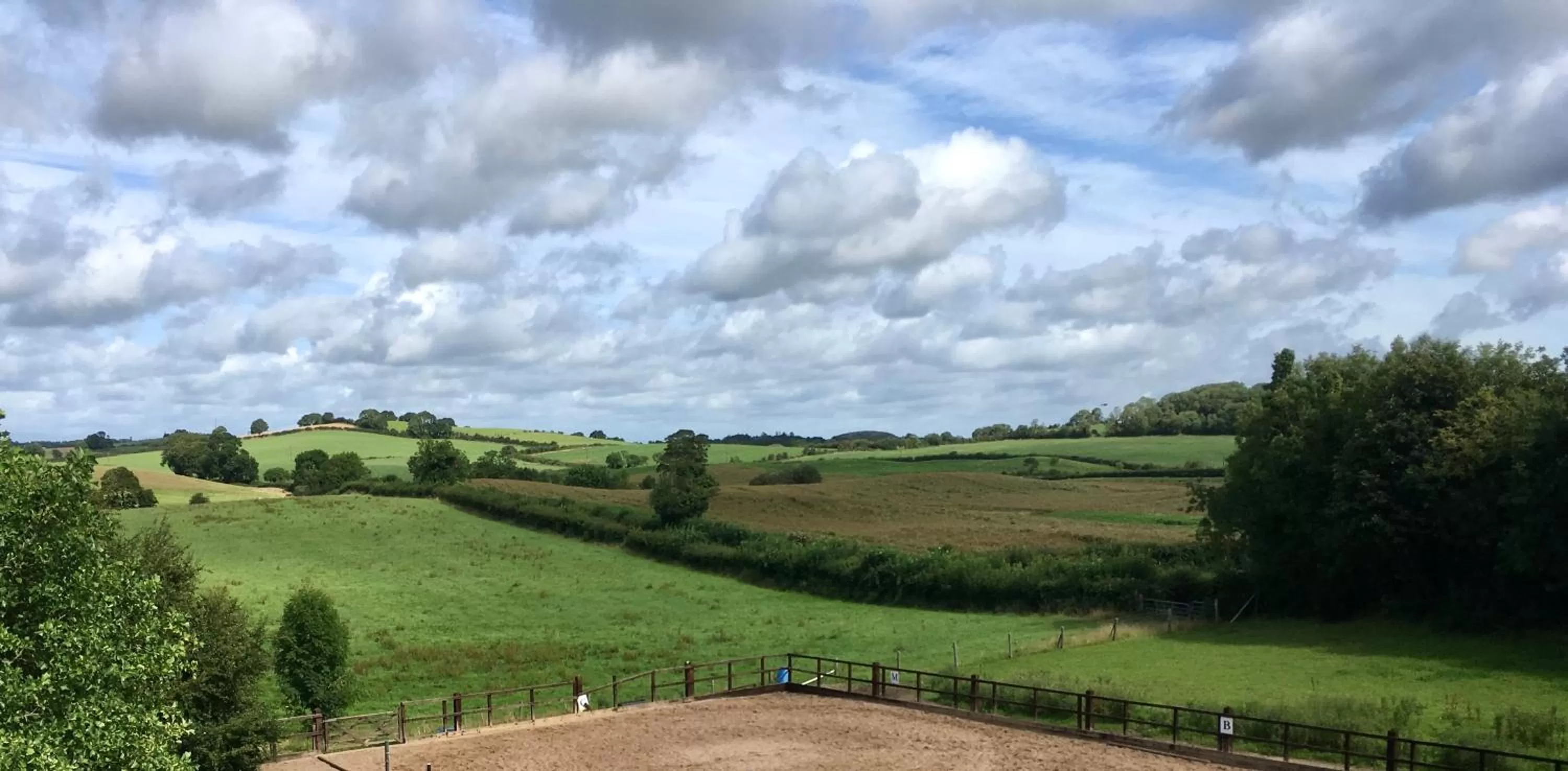 View (from property/room) in Ballymote Country House